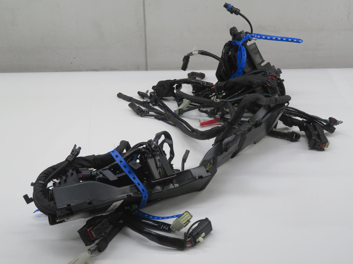 HARLEY 69202639 WIRE HARNESS T227918