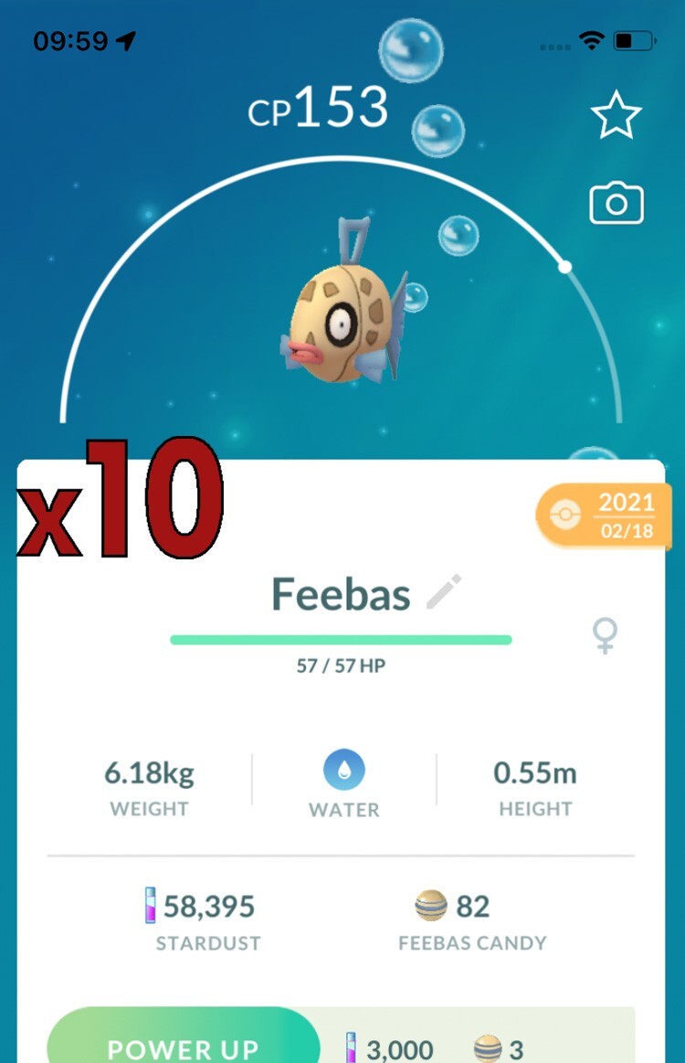10x Feebas Pokemon Bundle !! Good Chance of Lucky and Good IVs !! Go