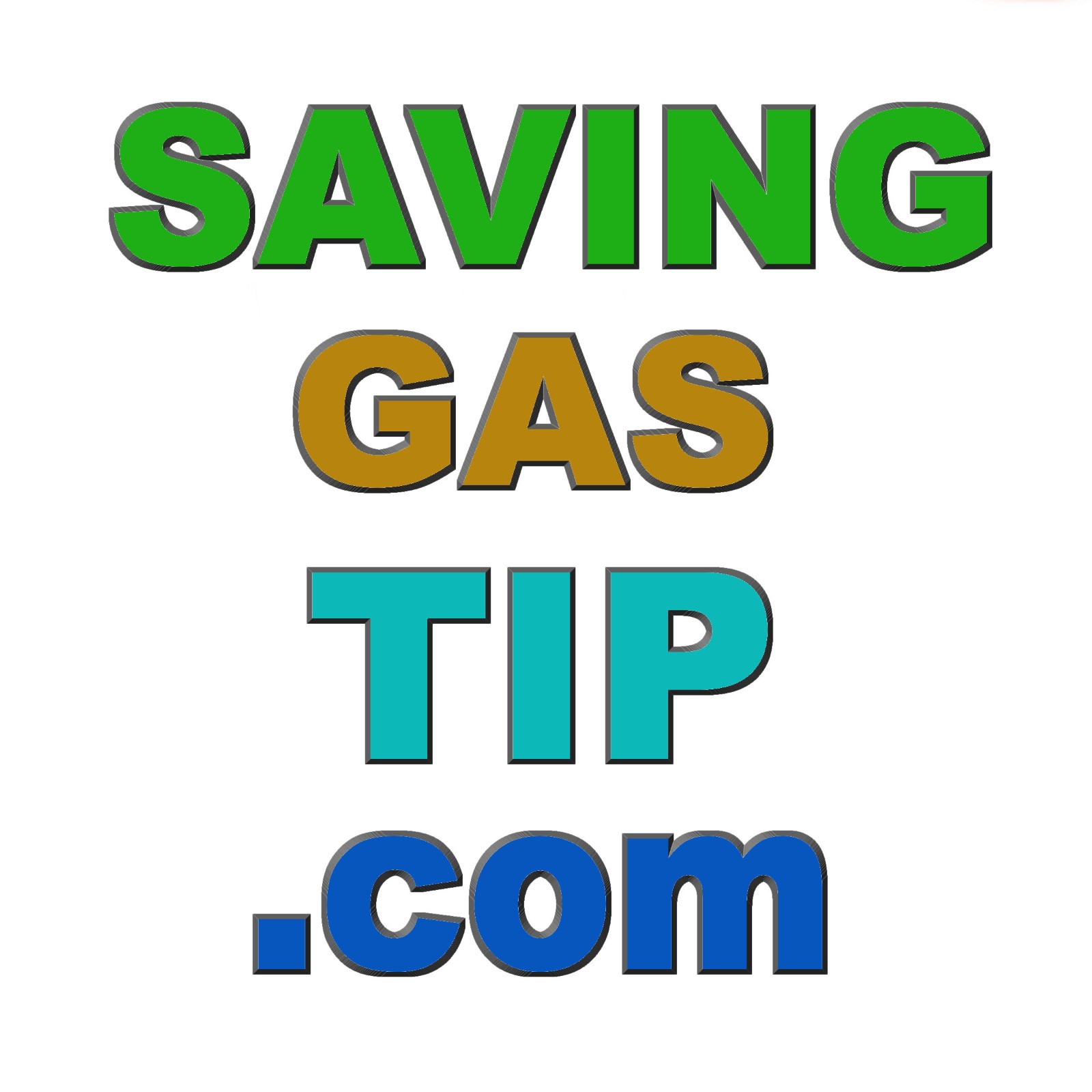SavingGasTip.com -Premium Gasoline/Petrol/Oil Business Domain Sale 17 years aged
