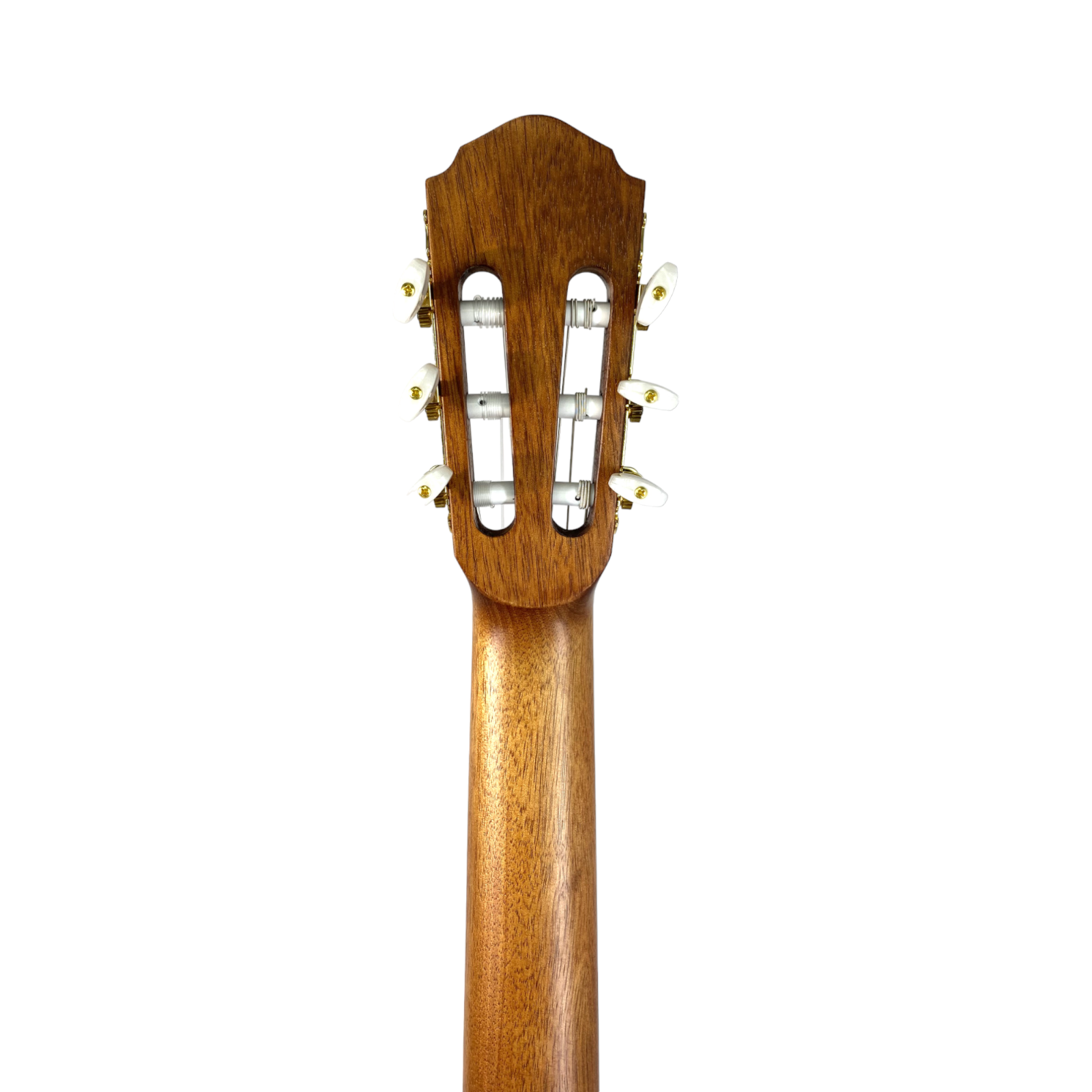 Haze C551BCEQSMFL Solid Top Fretless Arched Back Classical Guitar - Matte