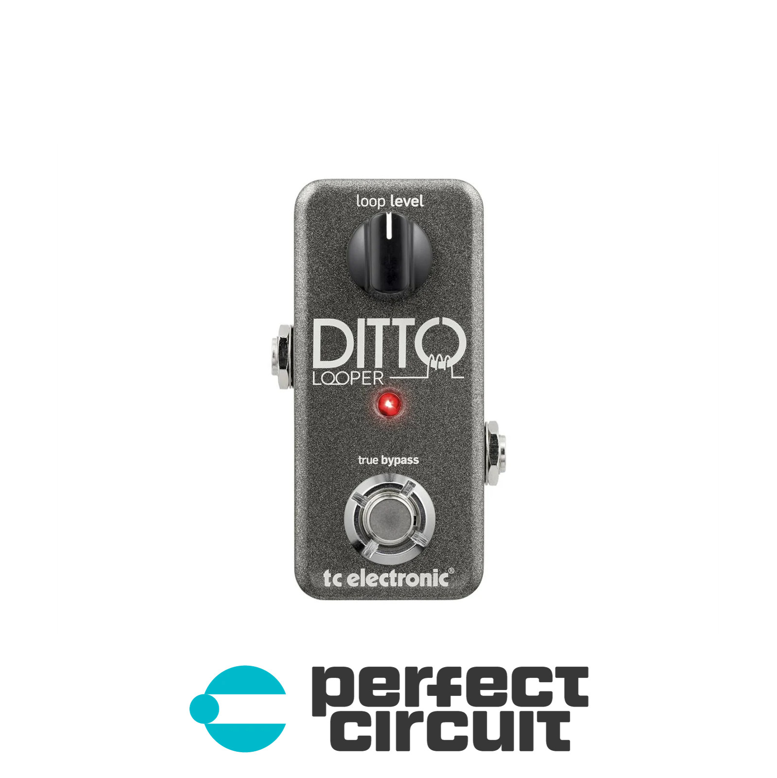 TC Electronic Ditto Looper Pedal EFFECTS - DEMO - PERFECT CIRCUIT