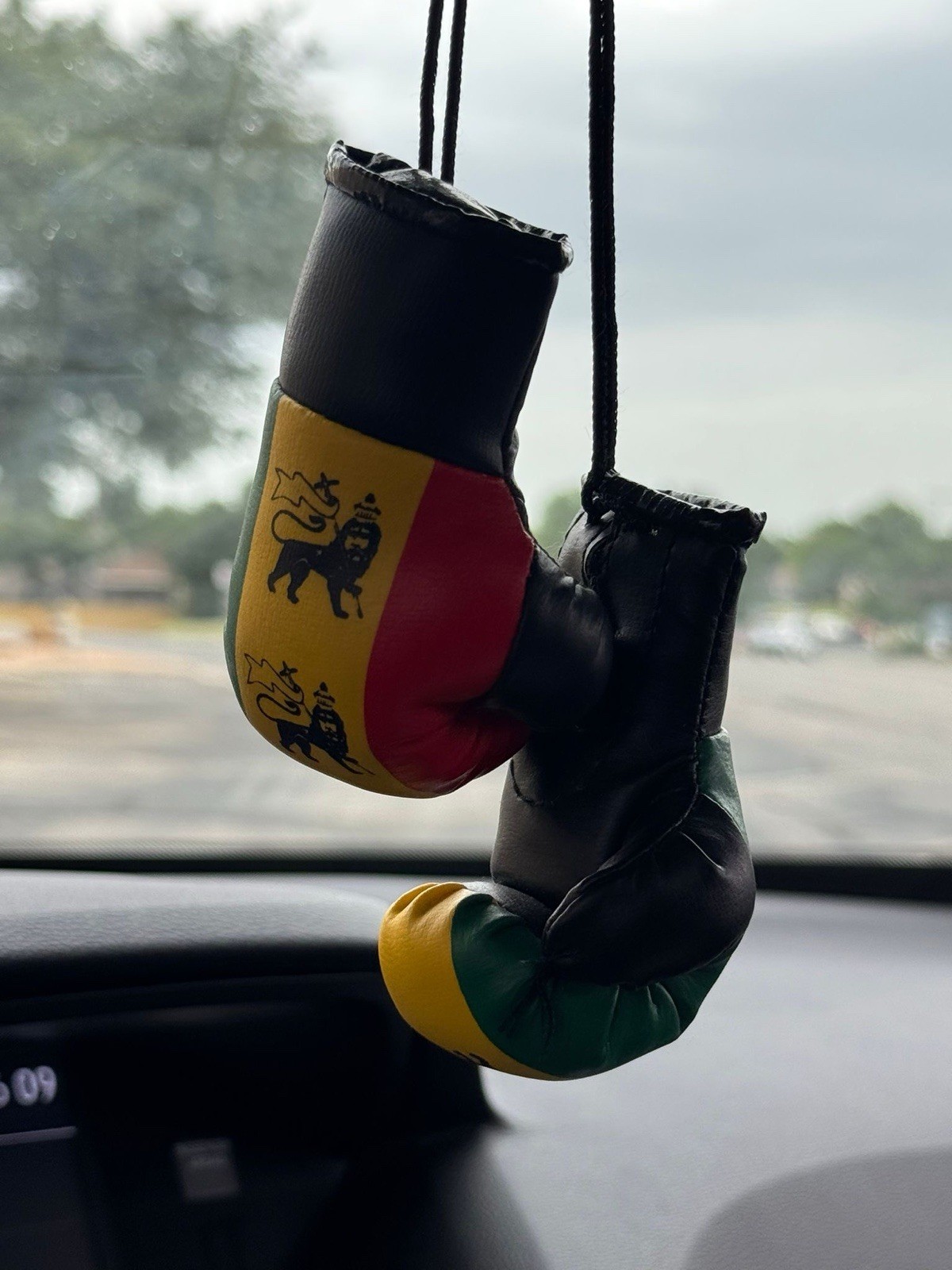The Lion Of Judah Mini Boxing Gloves Car Mirror Hanging Décor