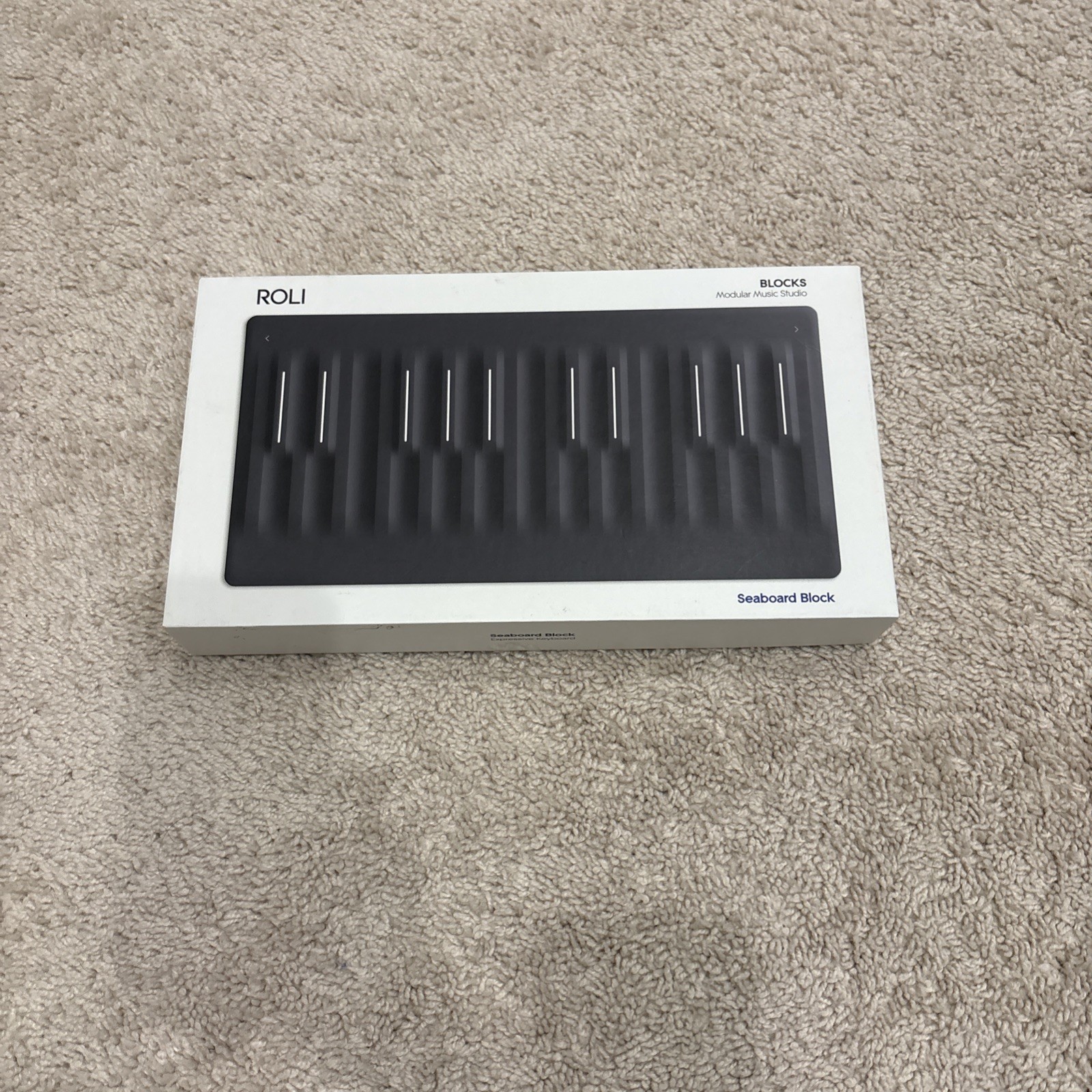 ROLI Seaboard Bock with Lightpad *ORIGINAL BOXES INCLUDED*