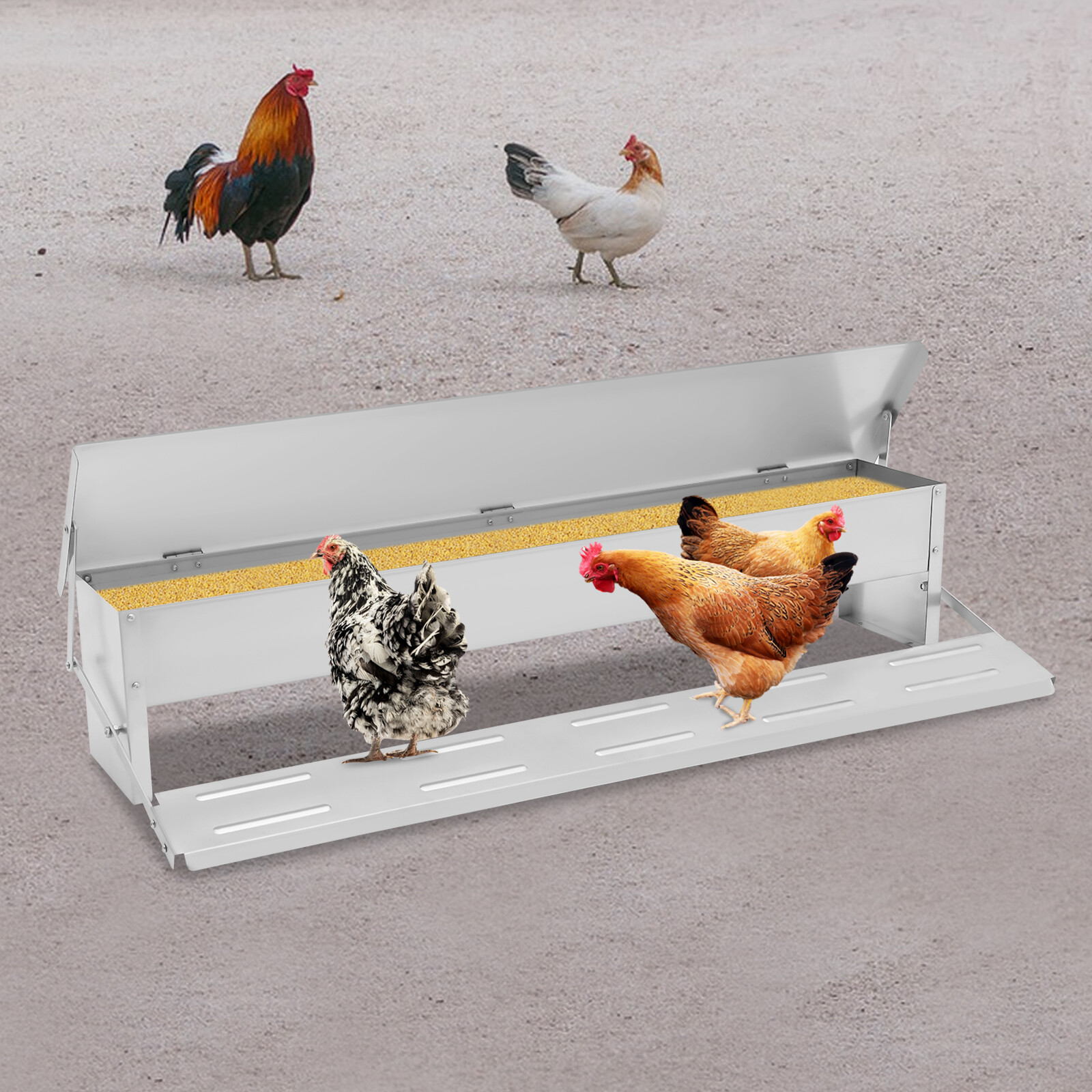 Automatic Chicken Feeder Galvanized Sheet Poultry Feed Protector 22lbs Capacity