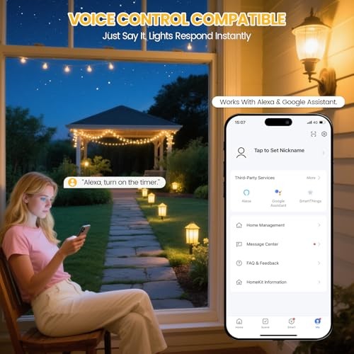 WiFi Smart Socket Timer for Low Voltage Landscape Lighting, App & Voice