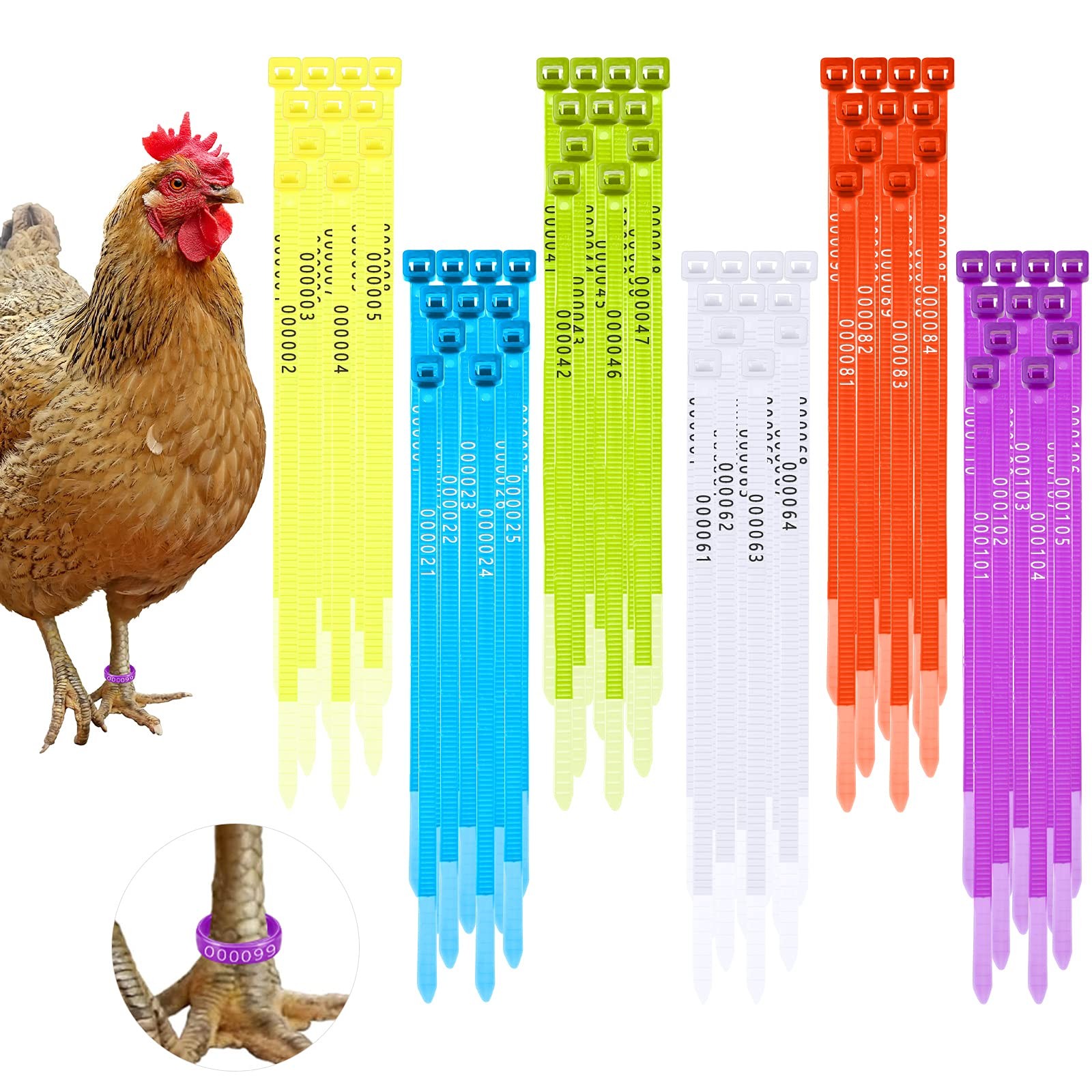 Shappy 120 Pcs Chicken Leg [List] Red, Purple, Yellow, Green, Blue, White