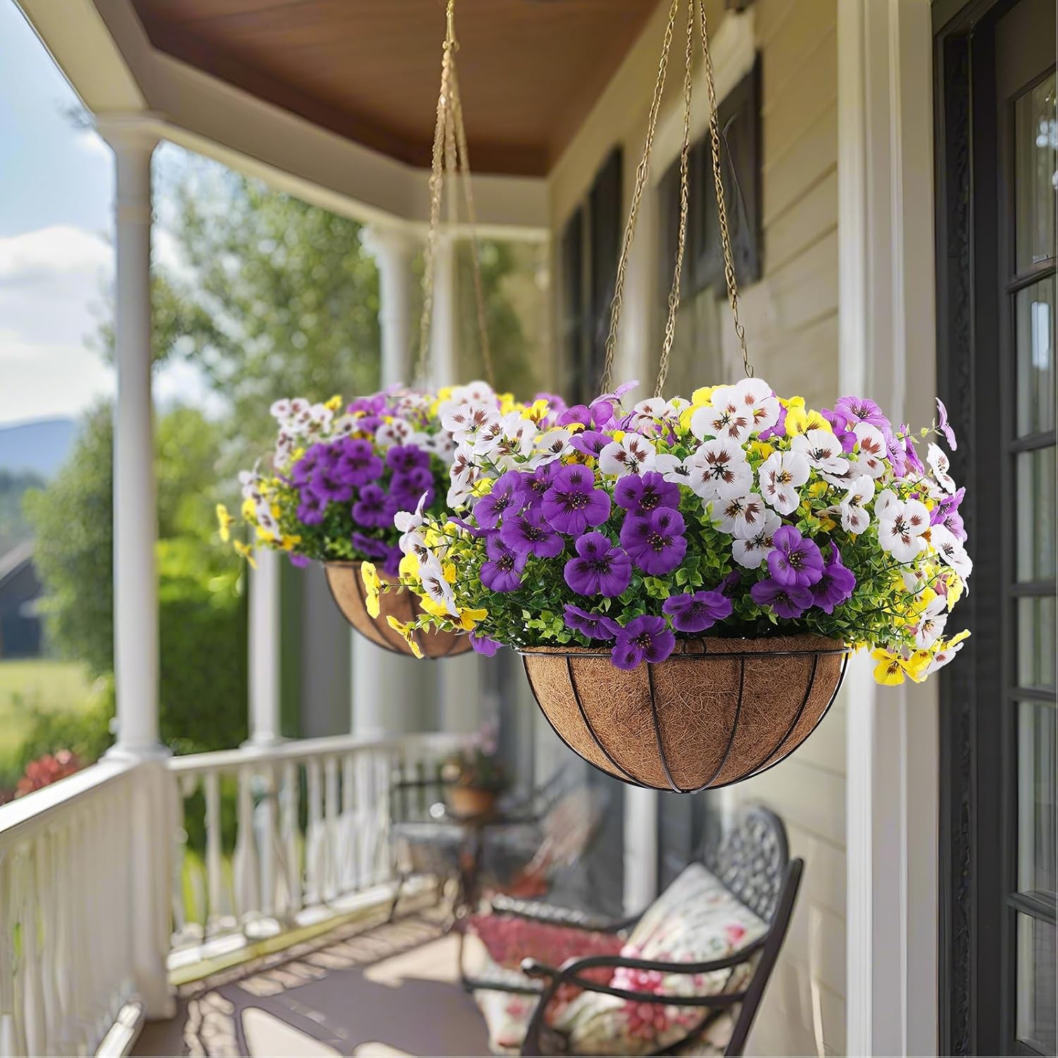 18pk Purple Yellow White Pansy Flowers