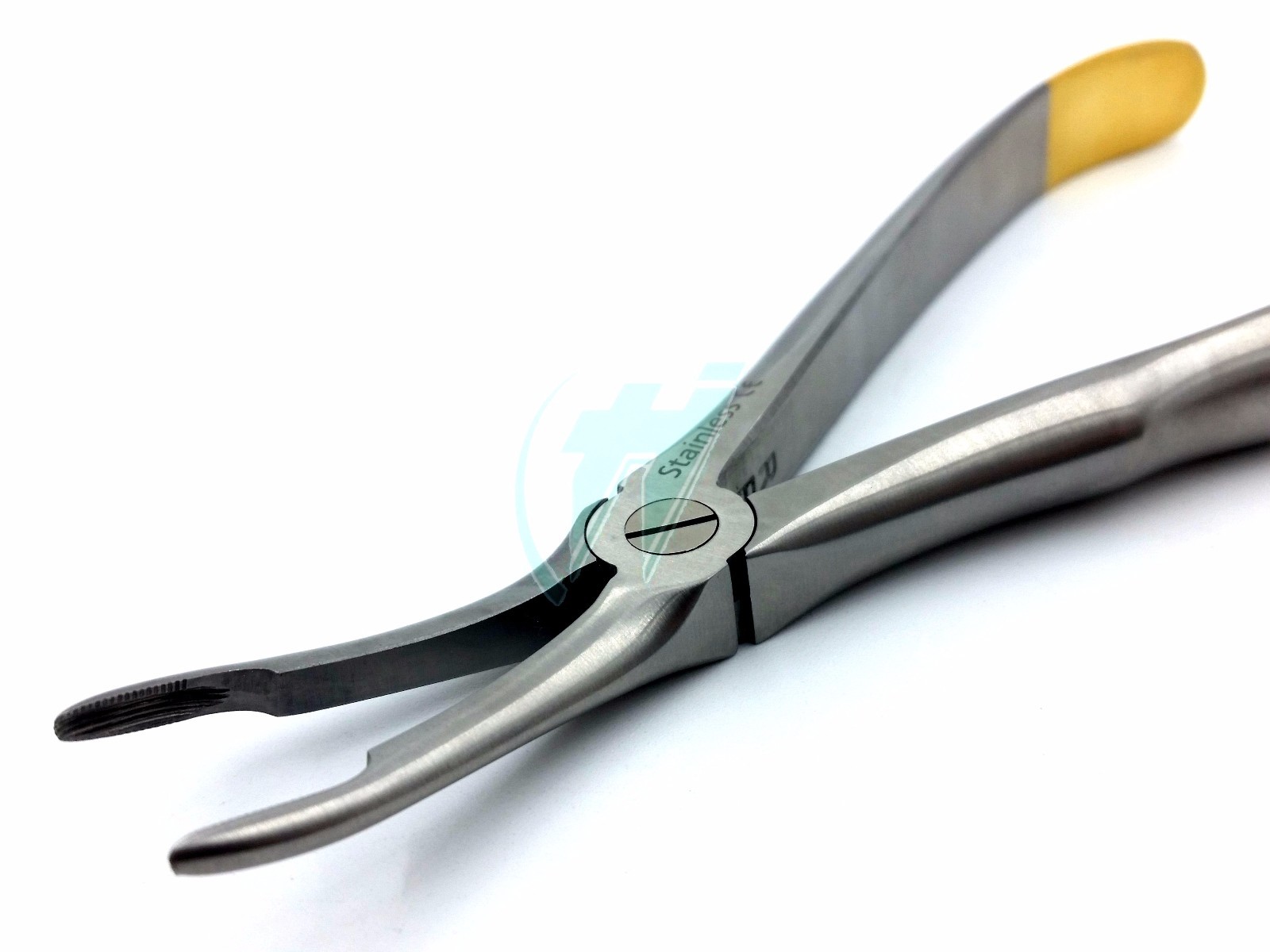 German Stainless Root Tip Dental Extracting Extraction Forceps Curved #44