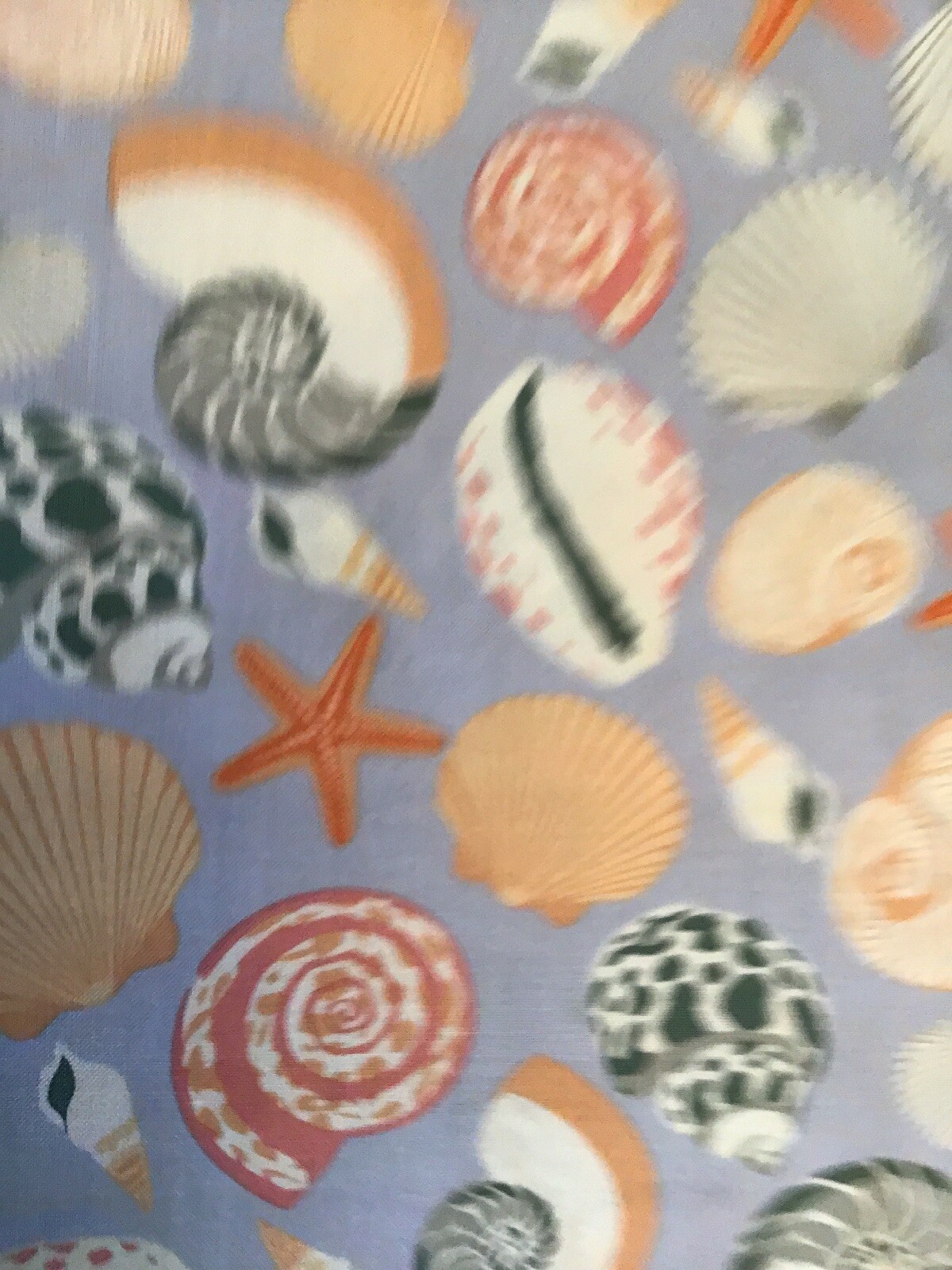 Fabric Seashell Cabana 5973, sold by the yard