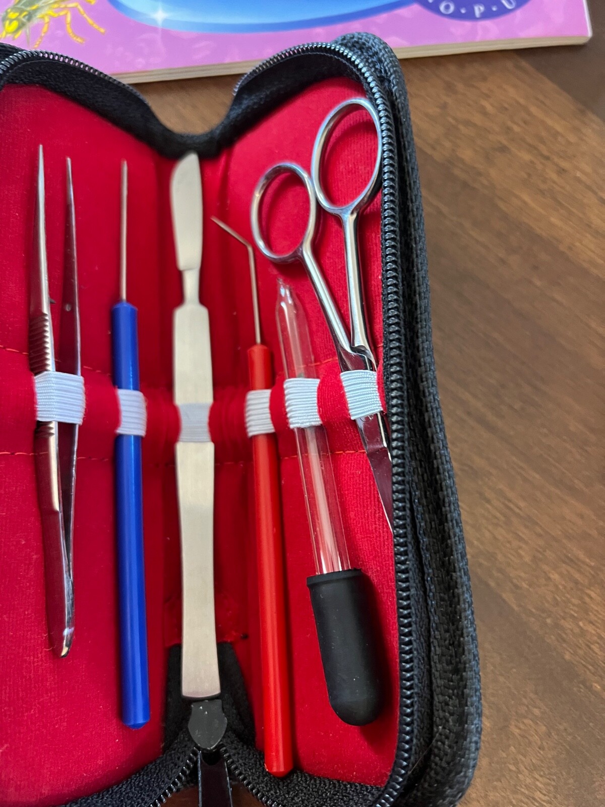 Amscope microscope set