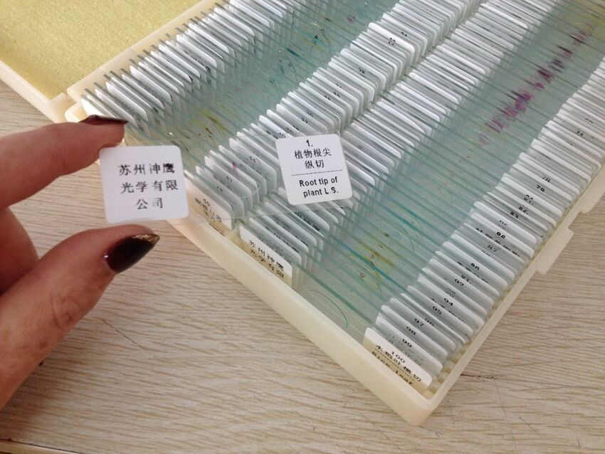 100pc Professional Glass Slice Prepared Microscope Slides Educational Specimen
