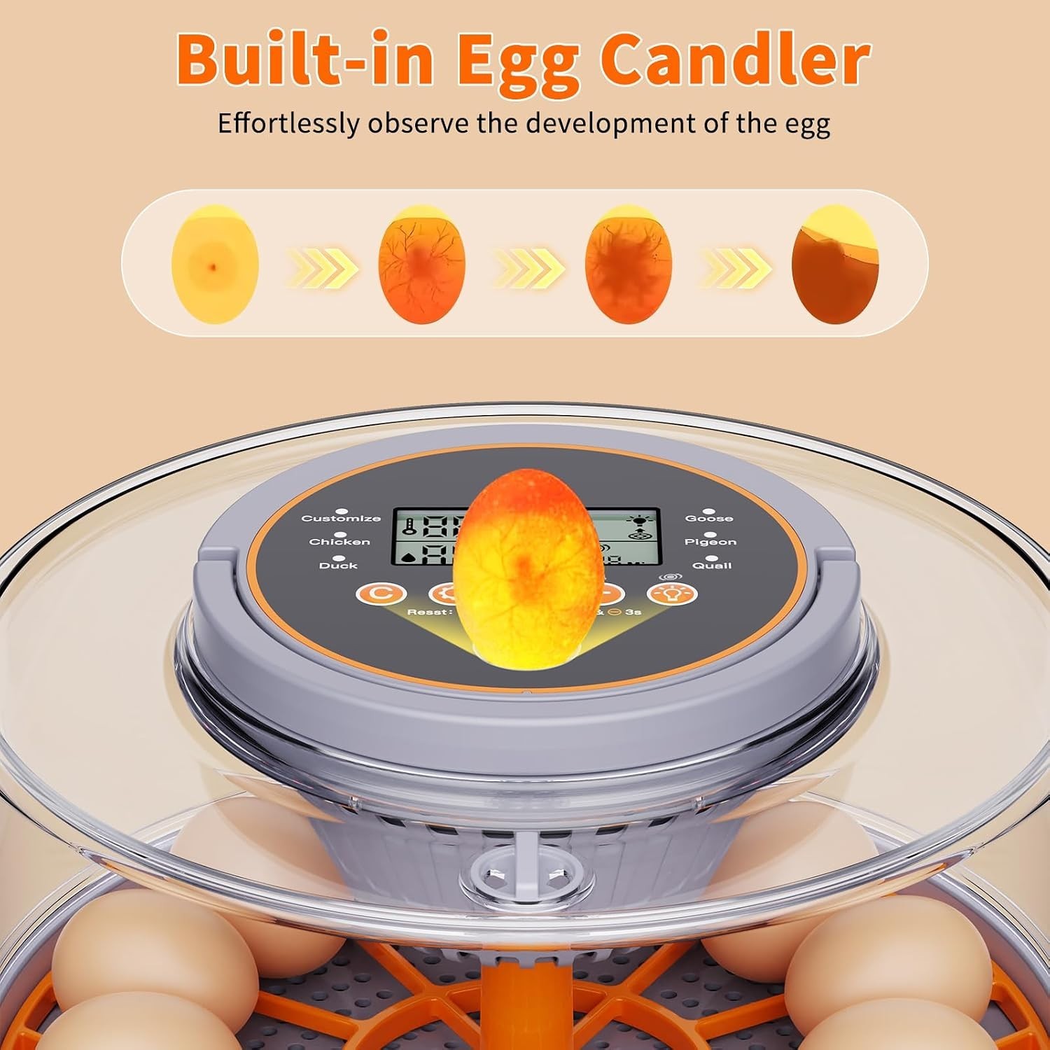 12 Egg Incubators for Hatching Eggs, Automatic Egg Turning & Humidity Control