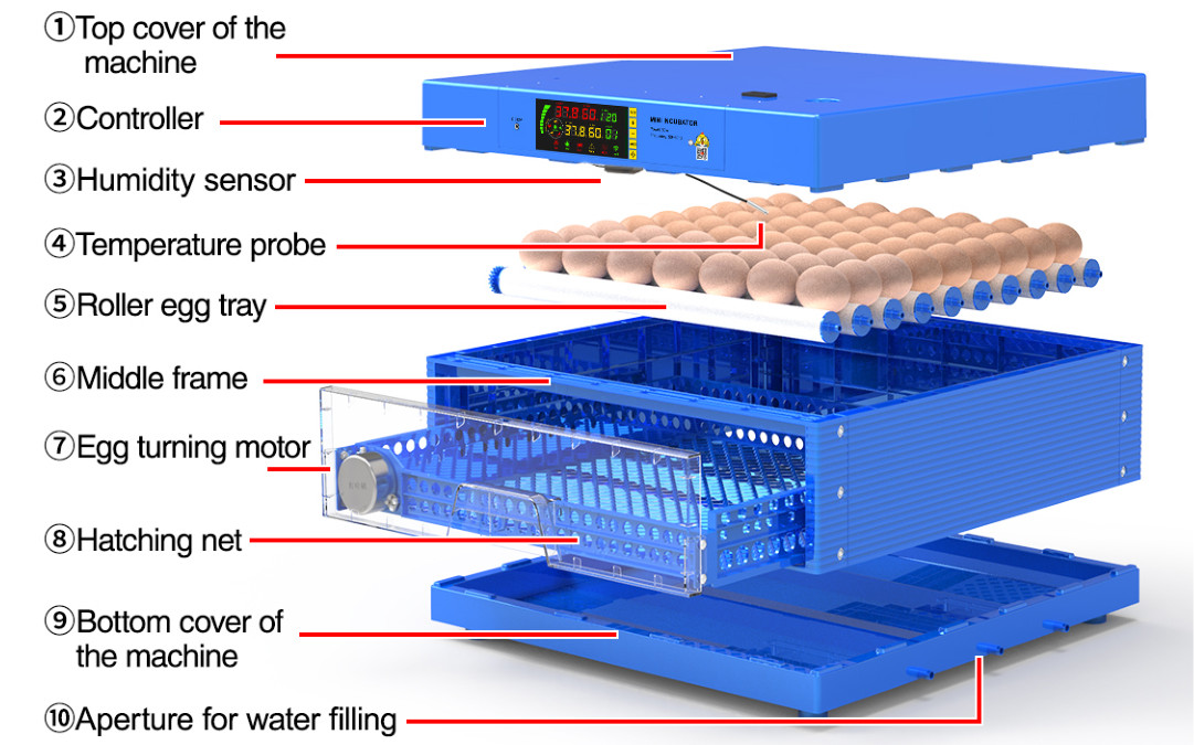 110V 64 Egg Temperature/Humidity Control Digital Display Chicken Incubator