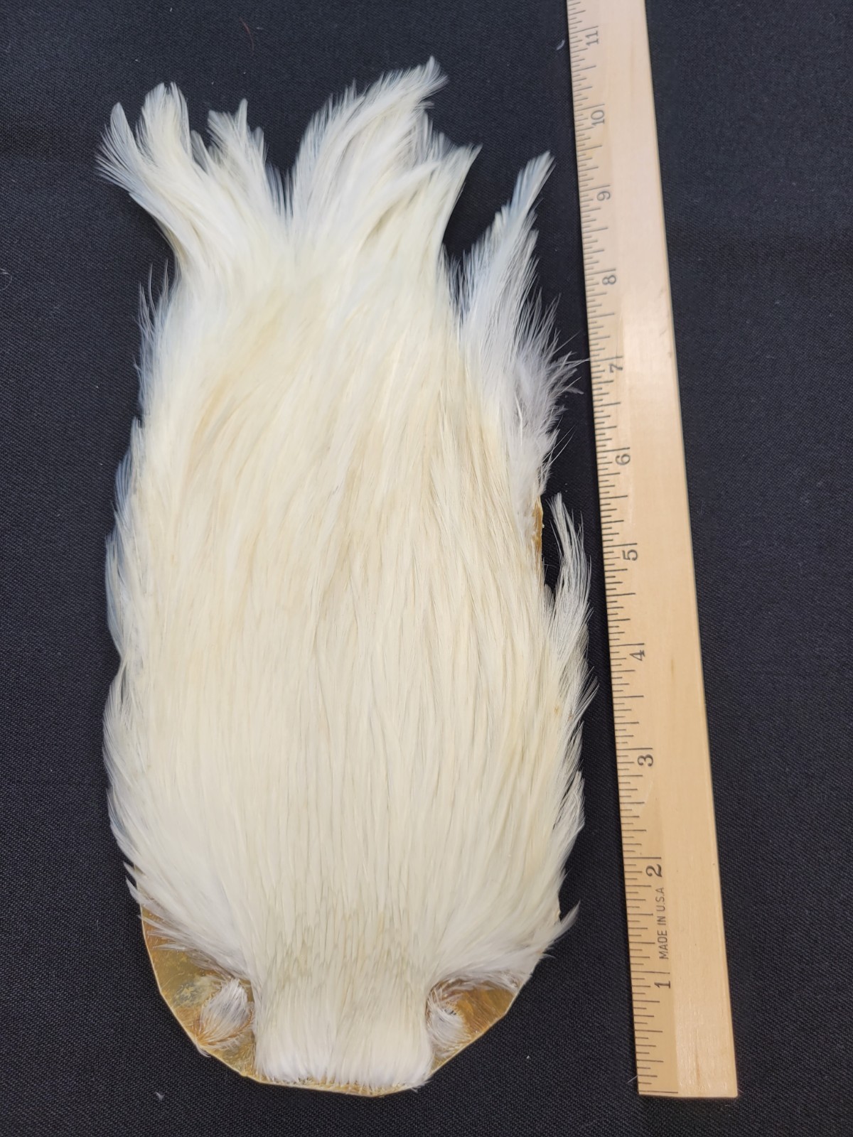 Lot 13,  Top Quality Dyed WHITE India Rooster Streamer Neck Cape Feathers