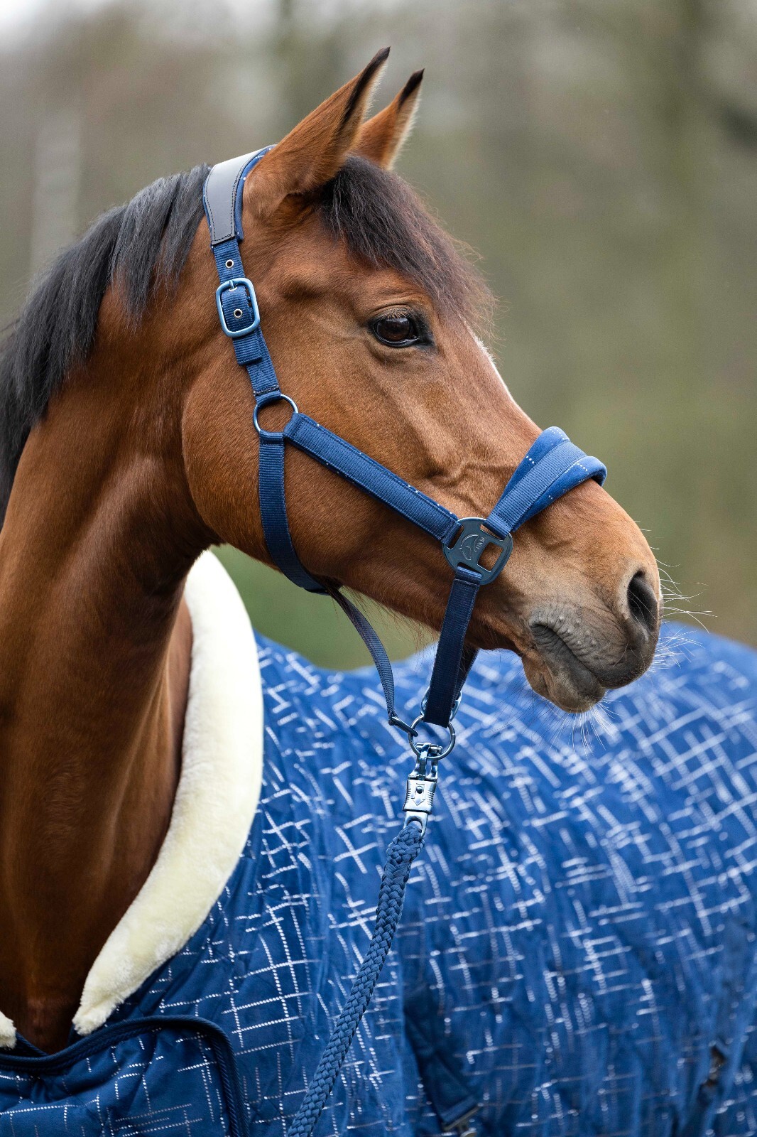 HKM Port Royal Stable Rug - Size 81
