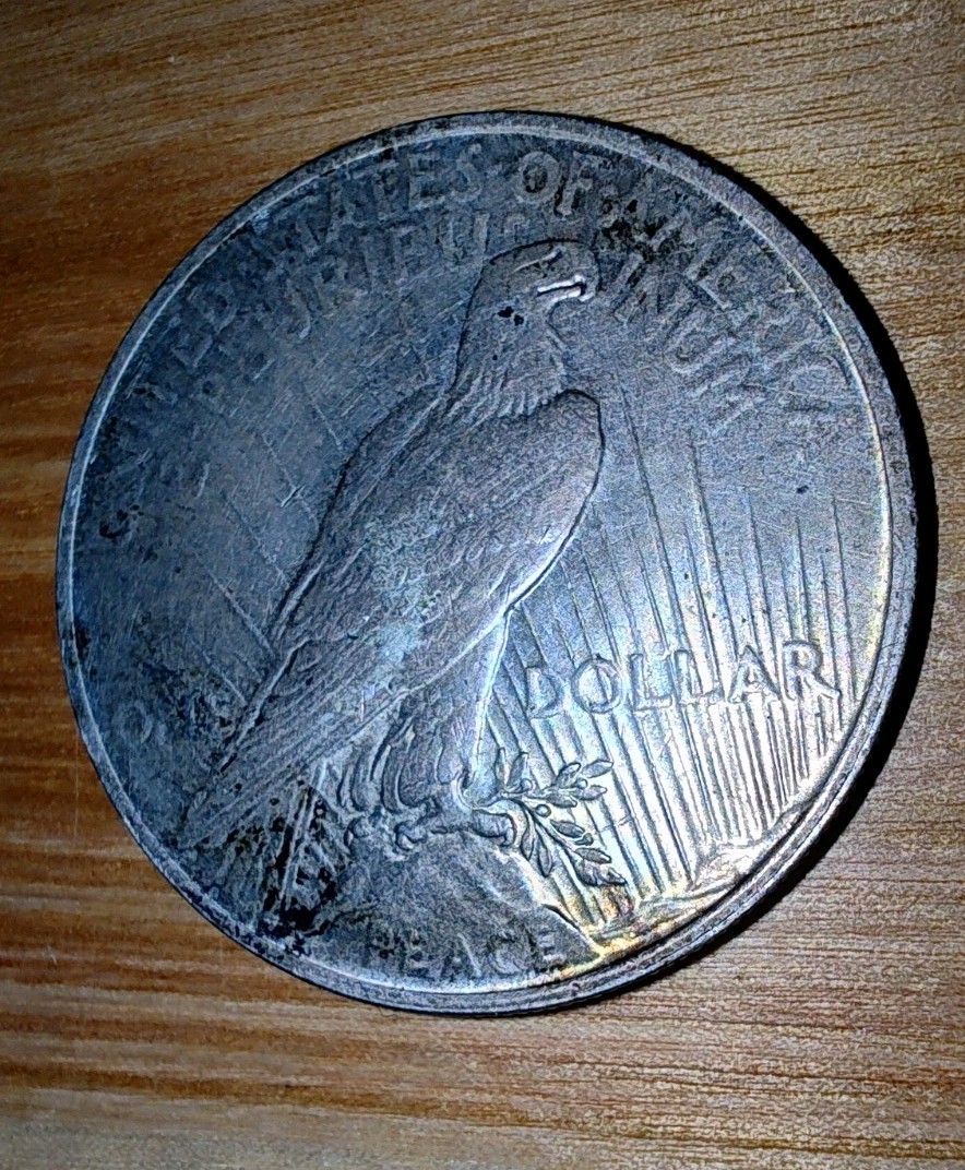 1923 $1 Peace Dollar MS Tape Toner