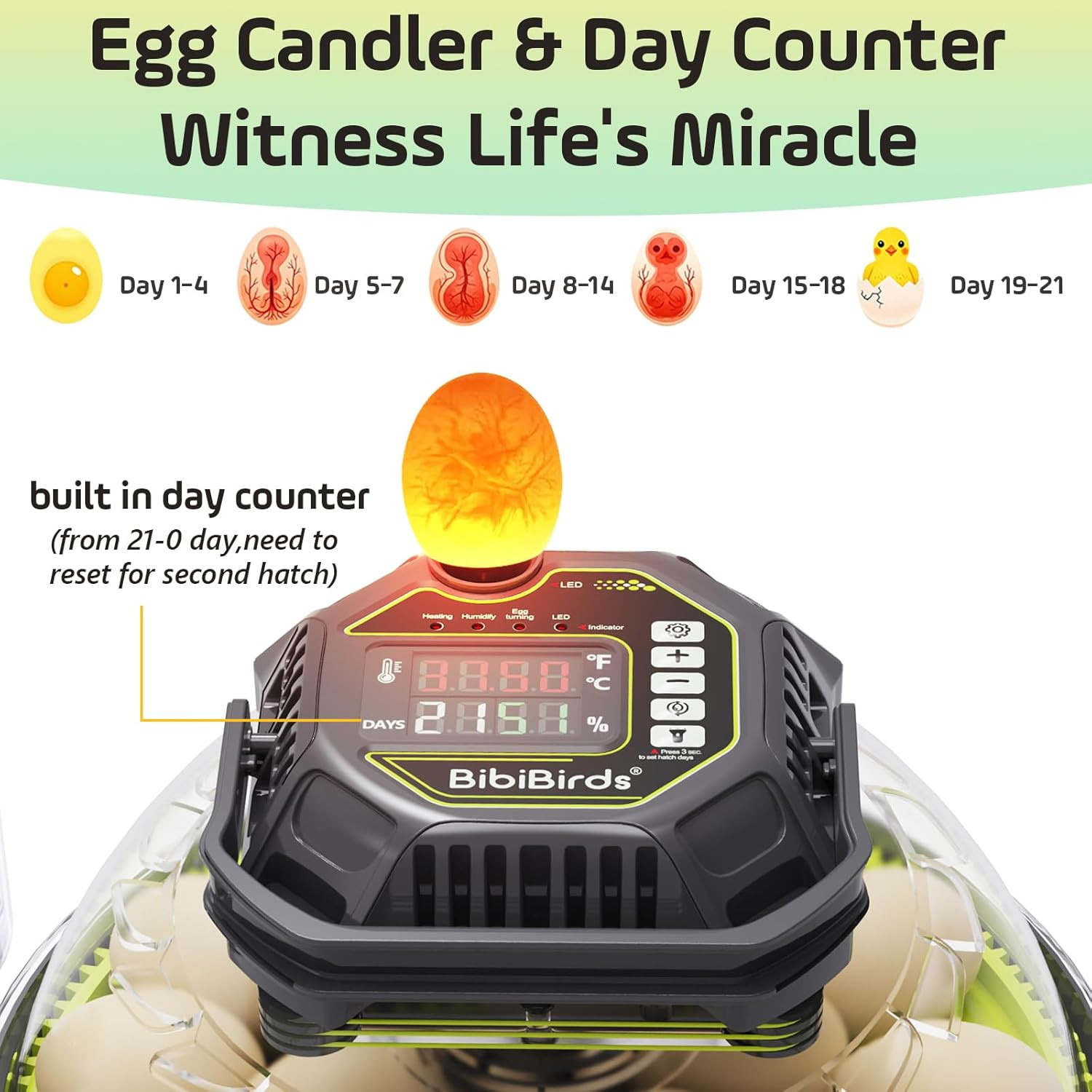 Automatic Egg Incubator for Quail, Chicken, Duck, Goose - 18 Eggs Capacity