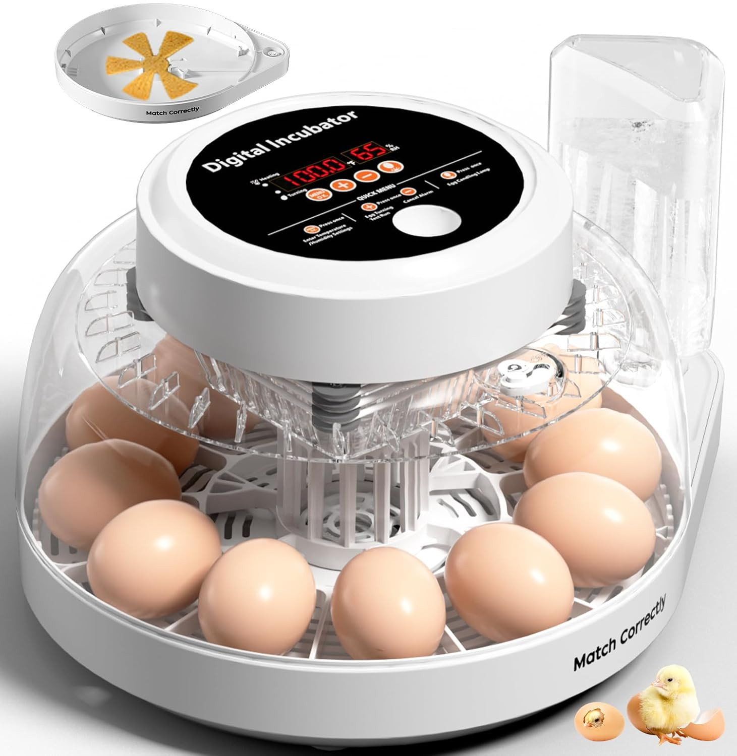 Upgraded Incubators for Hatching Eggs, 12 Egg Incubator with Automatic Egg Turni