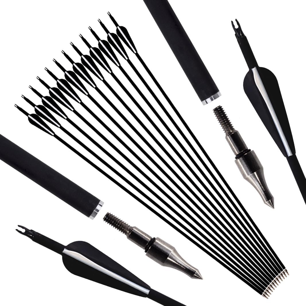 Luoyer 12Pcs Archery Hunting Arrows for Compound Bow Recurve Black Vanes