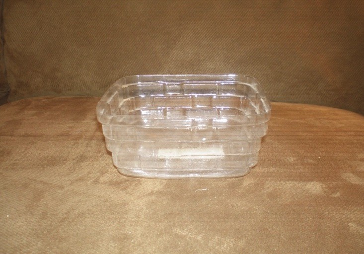 Longaberger Small Berry Basket Protector