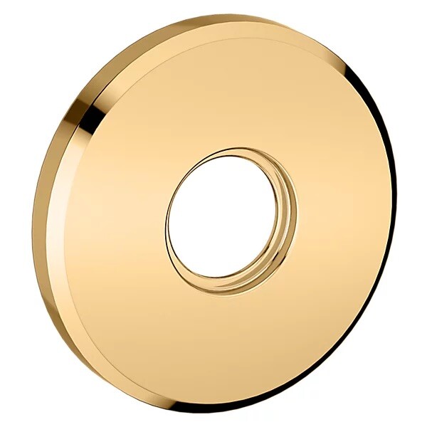 Pair Baldwin Passage Rosettes Lifetime Polished Brass R016.003.PS