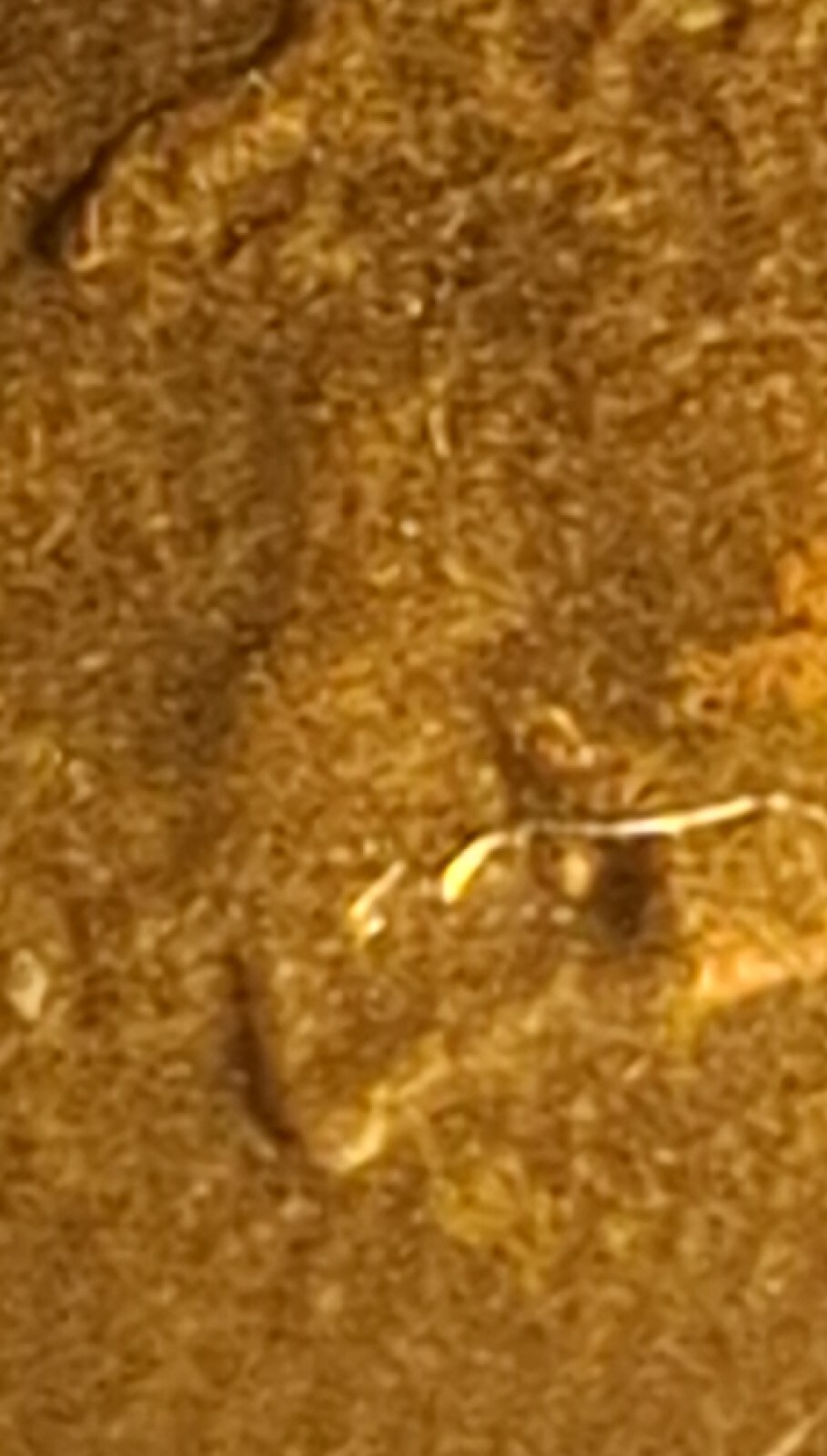 1982 D Lincoln Cent