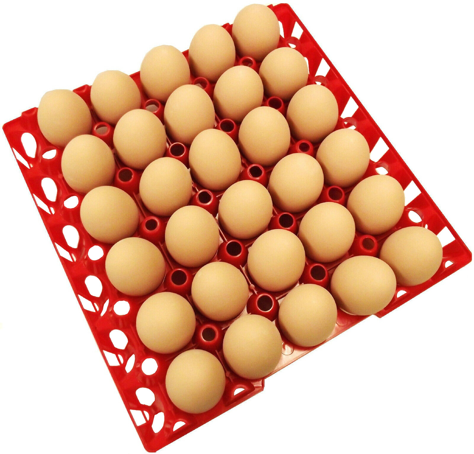 12 RITE FARM PRODUCTS 30 EGG PLASTIC CHICKEN TRAYS SHIPPING CARTON POULTRY FLAT
