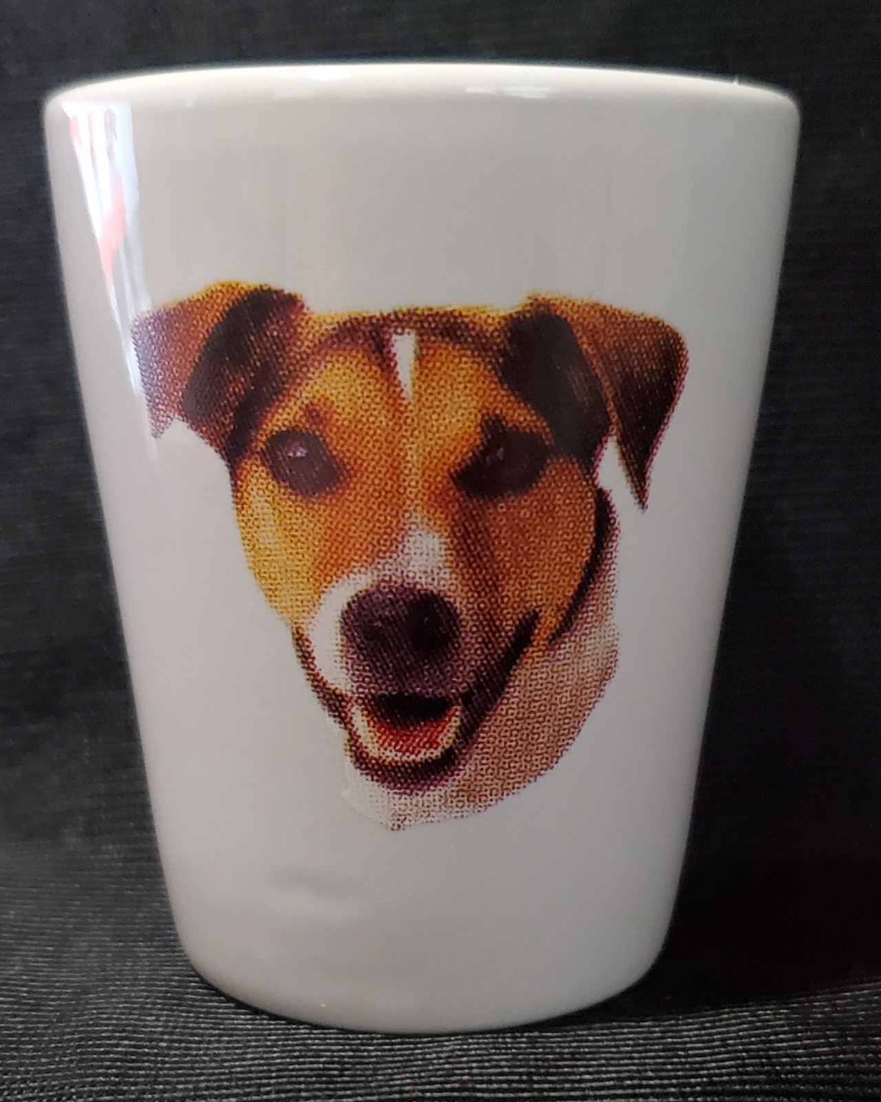 Jack Russell 1½ White Shot Glass