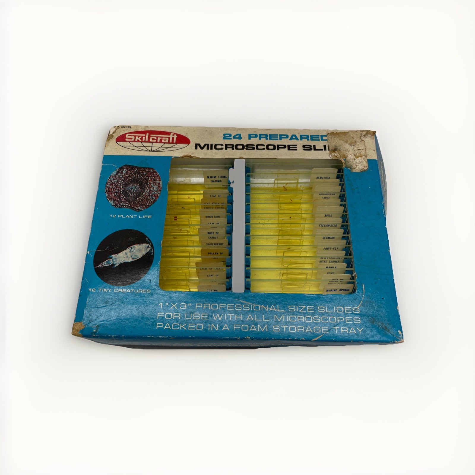 Vintage Skilcraft Prepared Microscope Slides, Creatures And Plant Life READ