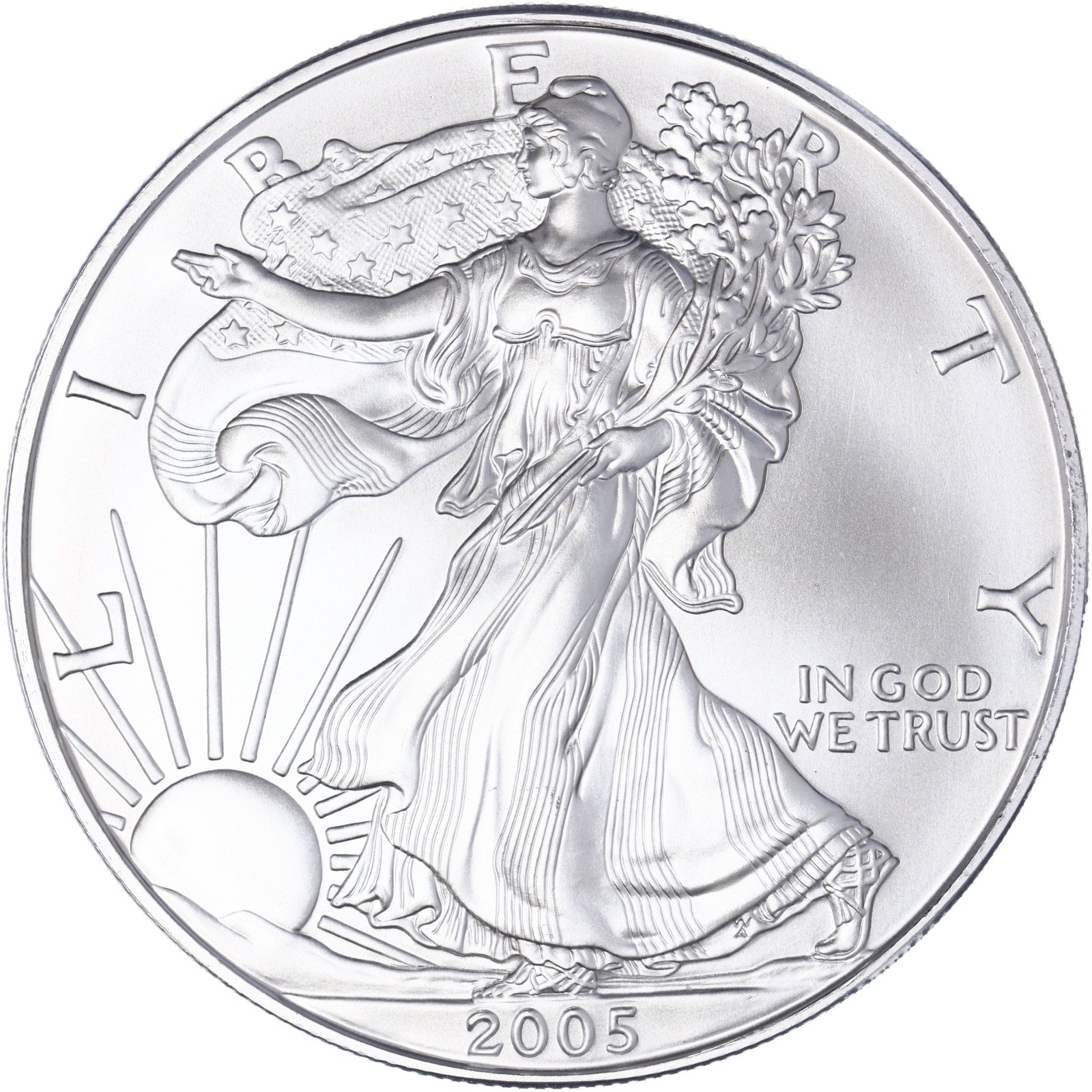 2005 American Silver Eagle 1 Oz Gem Brilliant Uncirculated Coin