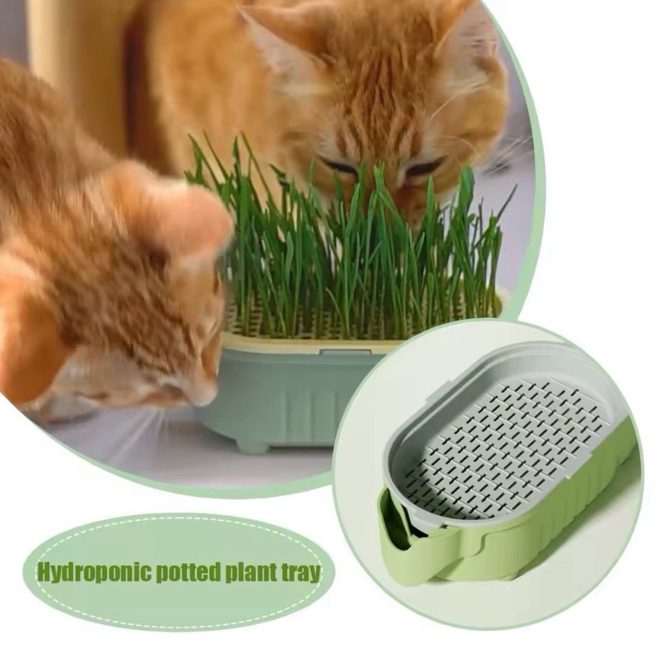 Cat Grass Planter Hydroponic Growing Tray Indoor Soilless Plant Box