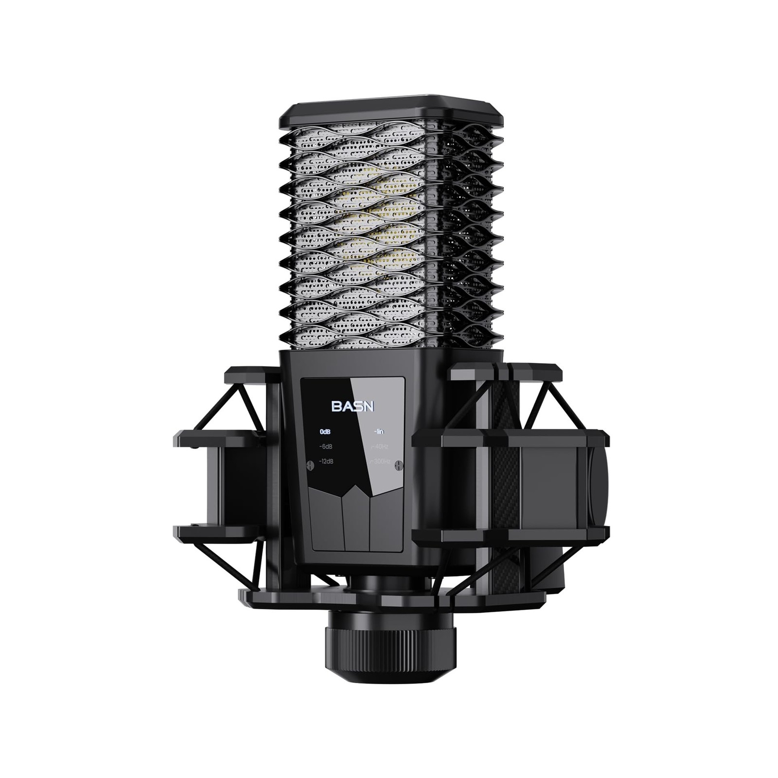 BASN BMS2 Cardioid Condenser Microphone, Large Diaphragm XLR Studio Recording...
