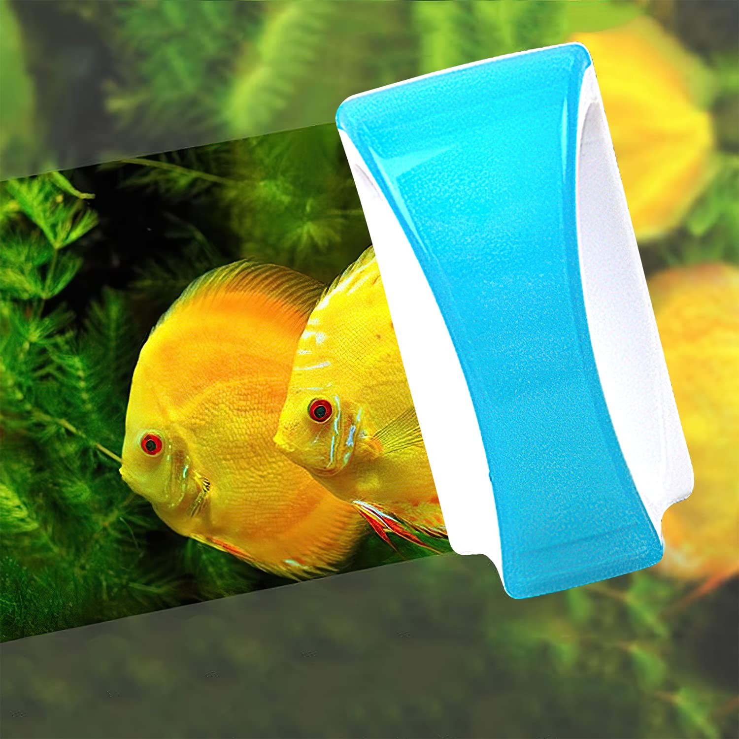 jindaaudio Magnetic Aquarium Glass Cleaner Brush Magnet Fish Tank Cleaner...