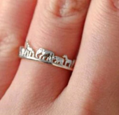 Safari animal toe ring 2 pieces