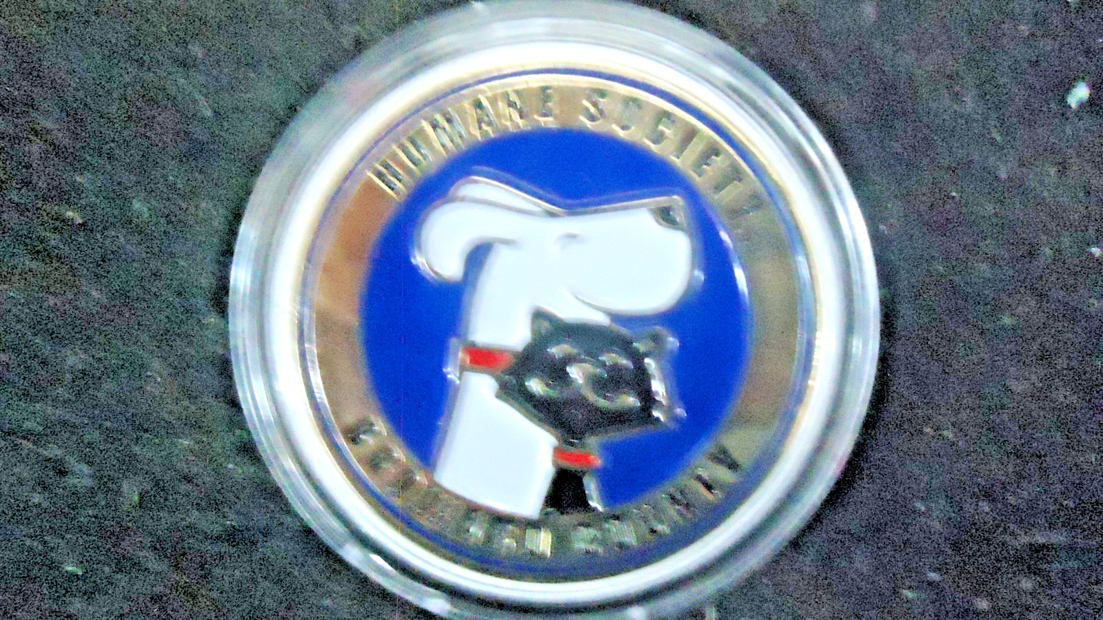 BROWARD COUNTY,FLA. -HUMANE SOCIETY-SECURITY FORCE