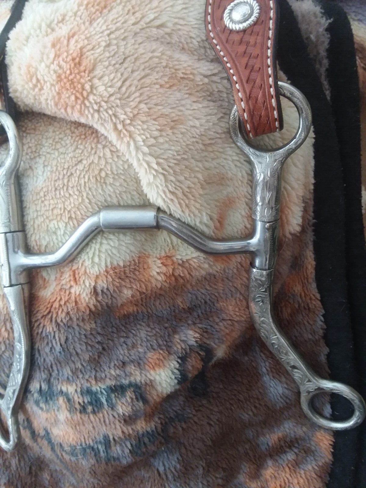 Tooled show bridle with sterling buckles, Fleming conchos & nice correction bit