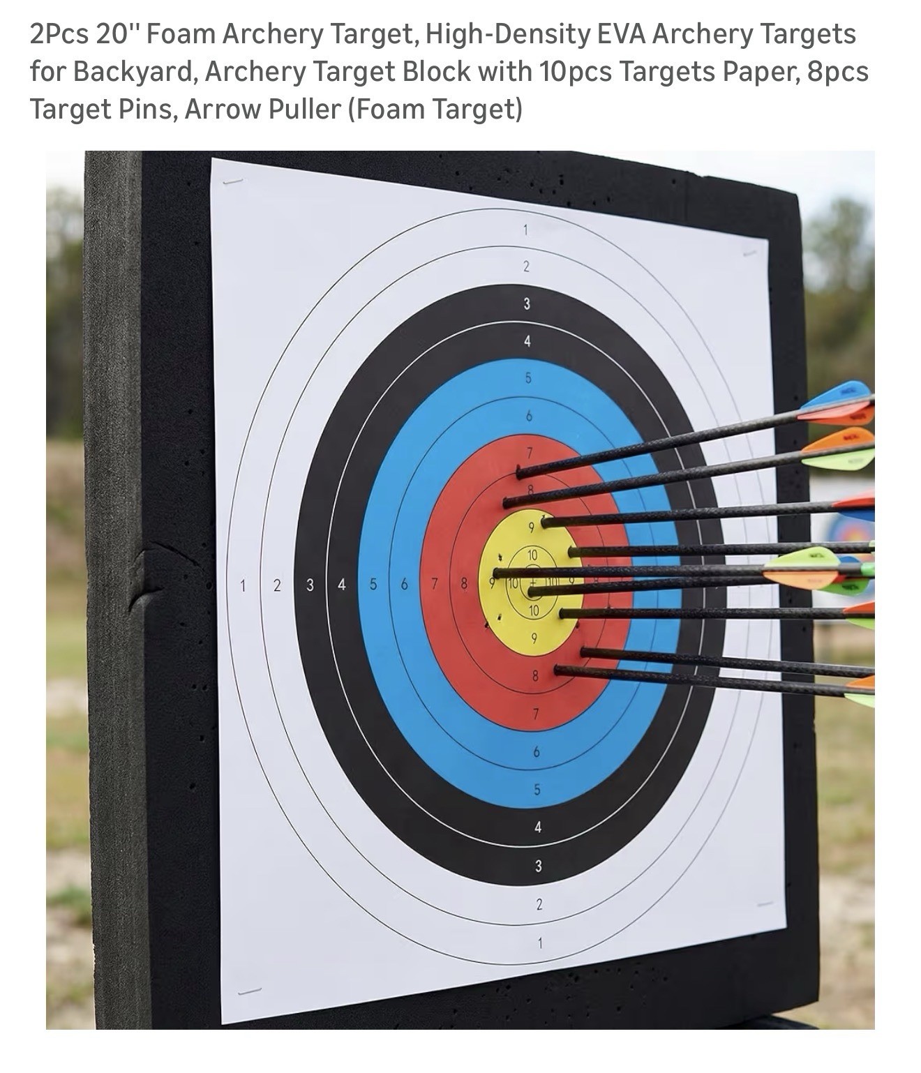 2PCS 20” EVA Archery Target Block w/ Papers, Pins & Arrow Puller