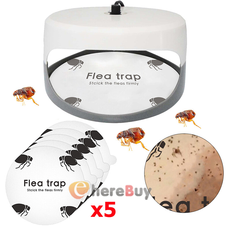 1~10X Disposable Flea Trap Sticker Sticky Dome Flea Trap Refill Flea Glue Discs