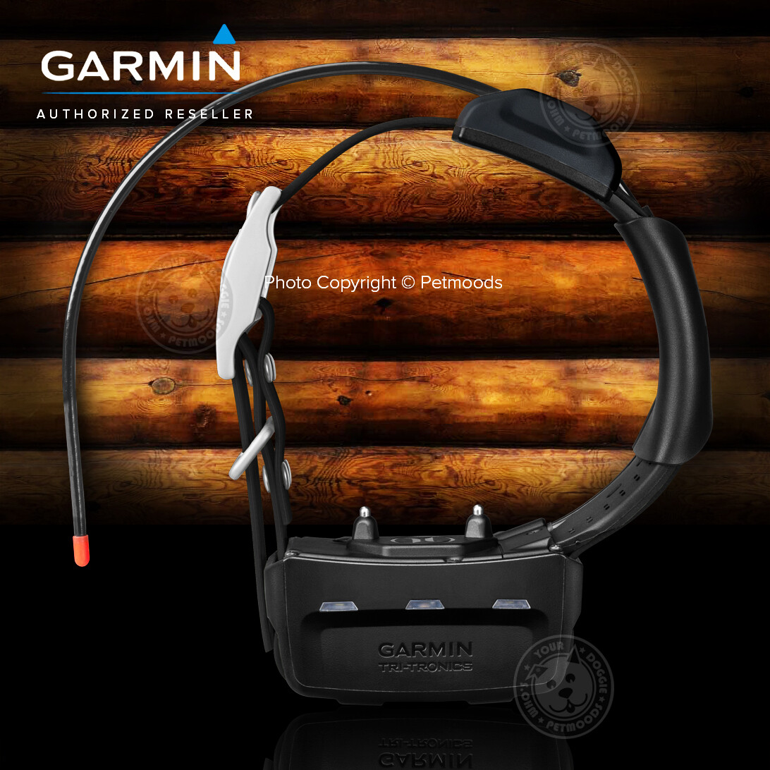 Garmin Pro 550 Plus Bundle Dog Tracking and Training TT15X Collar Device GPS
