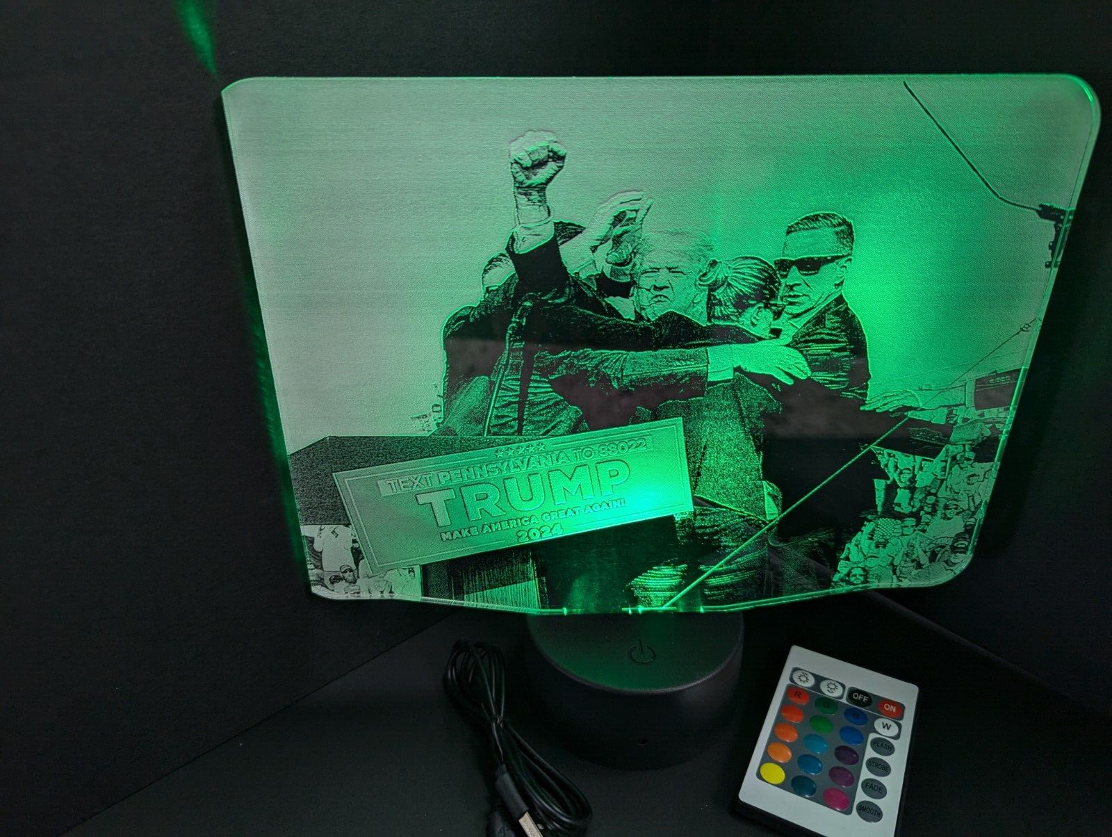 Donald Trump President L.E.D. Large light display