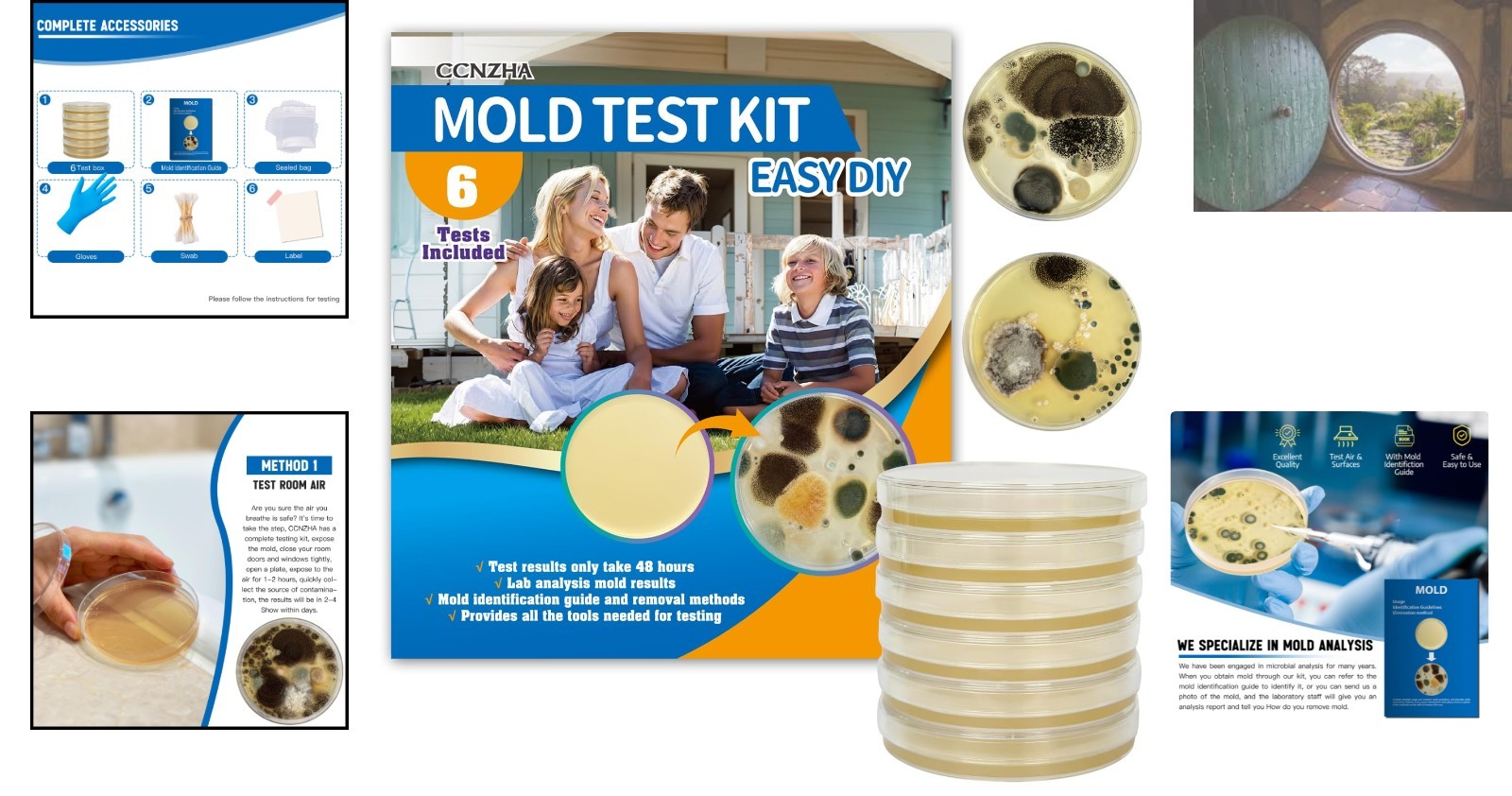 Expert Mold Detection Kit: DIY Tests for a Healthy Home Environment in 48 Hours