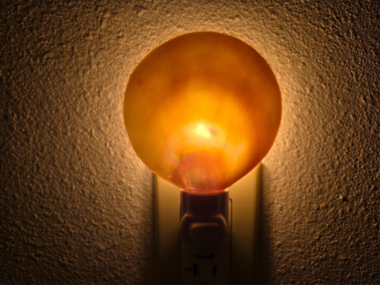 GOLDEN MOTHER OF PEARL SEA SHELL NIGHT LIGHT BATHROOM KITCHEN