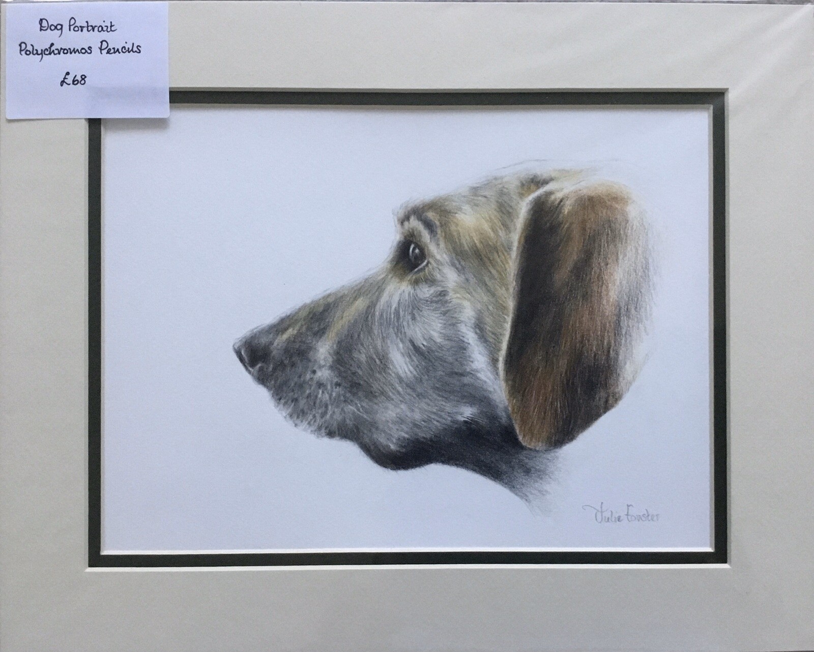 Dog Portrait Original Artwork signed By Julie Forster