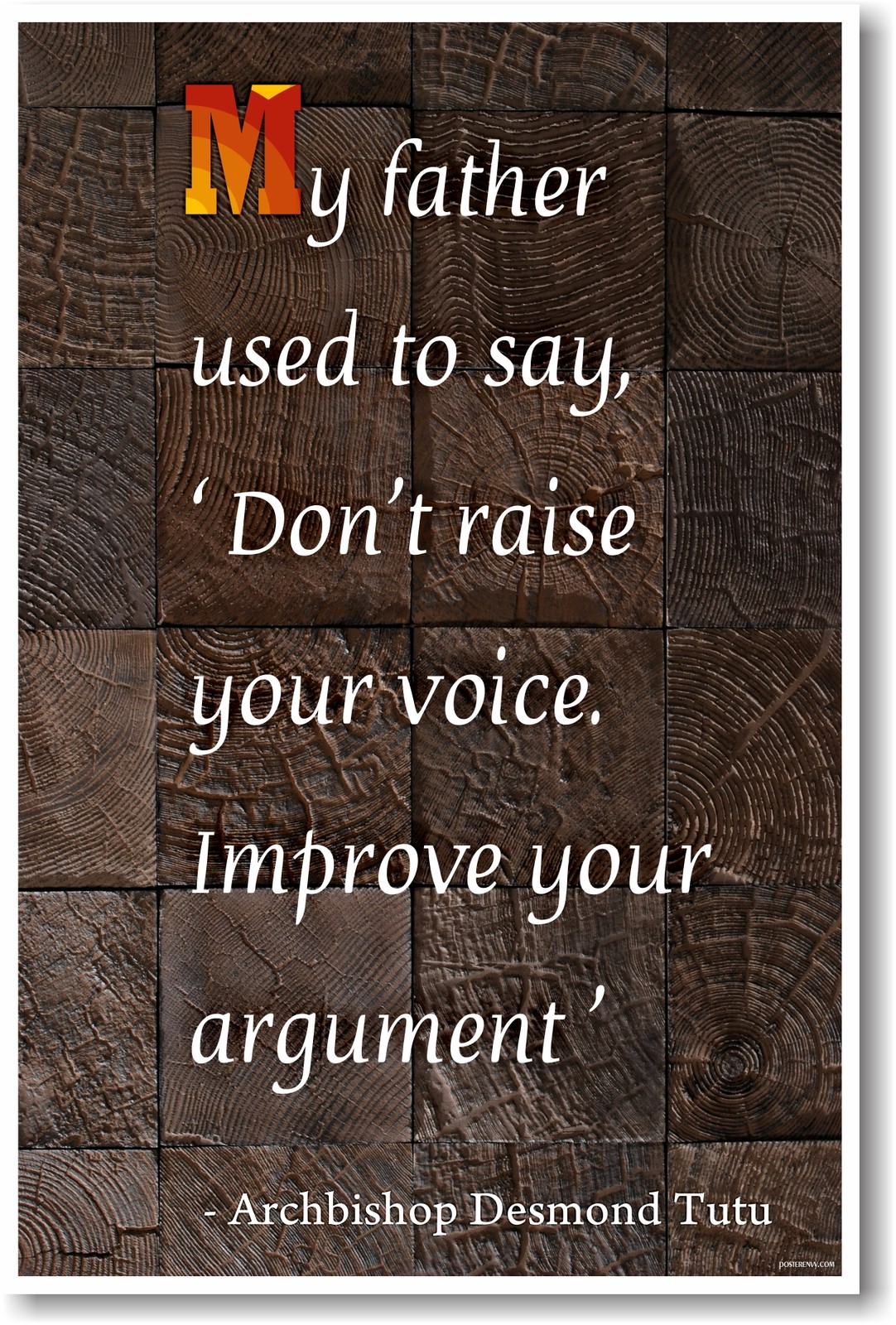 Don't Raise Your Voice - Archbishop Desmond Tutu - NEW Motivational Poster