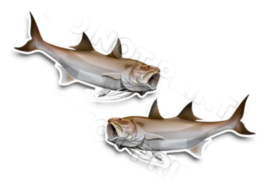 King Threadfin Salmon Decals Fish Stickers Tackle Box RV Truck Trailer -0188v2