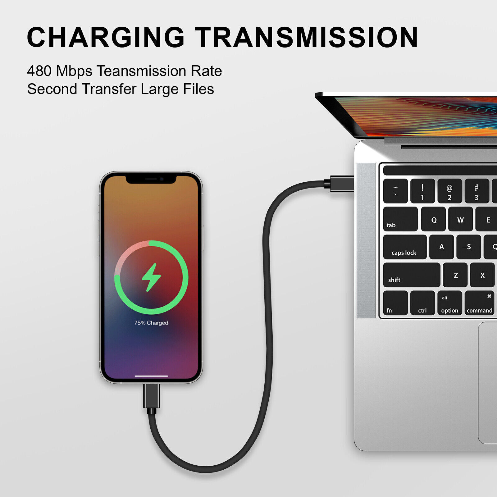6FT Type C Fast Charging Cable USB-C to USB-C Quick Charging Cord Data (1 Pack)