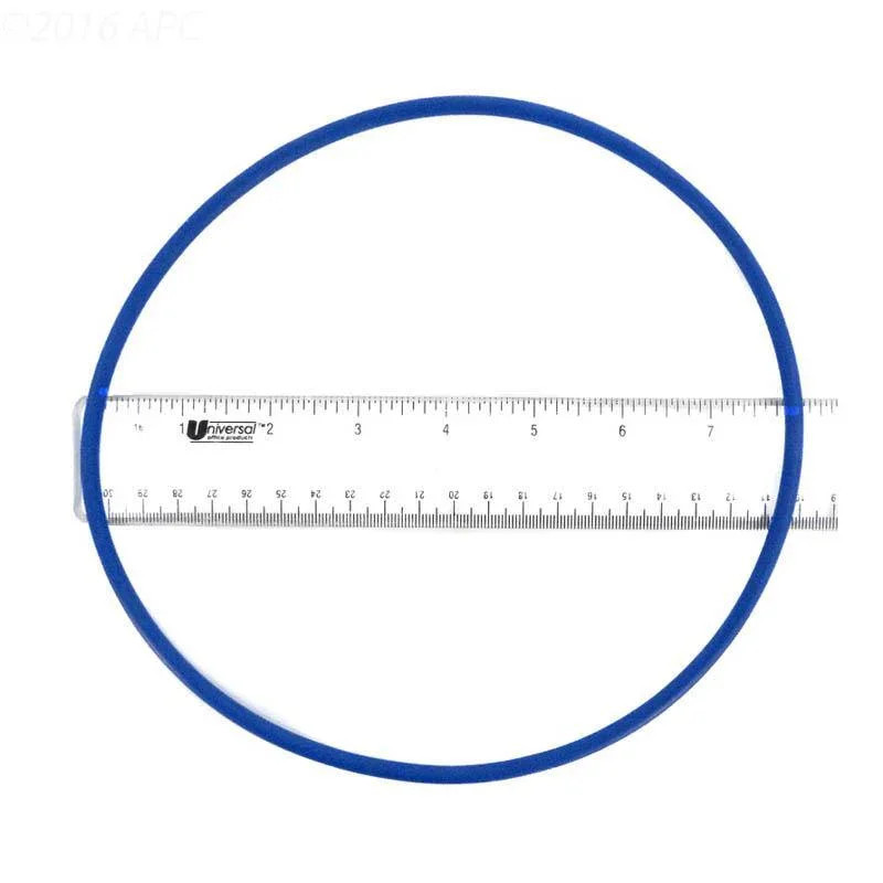O-Ring, Filter Head