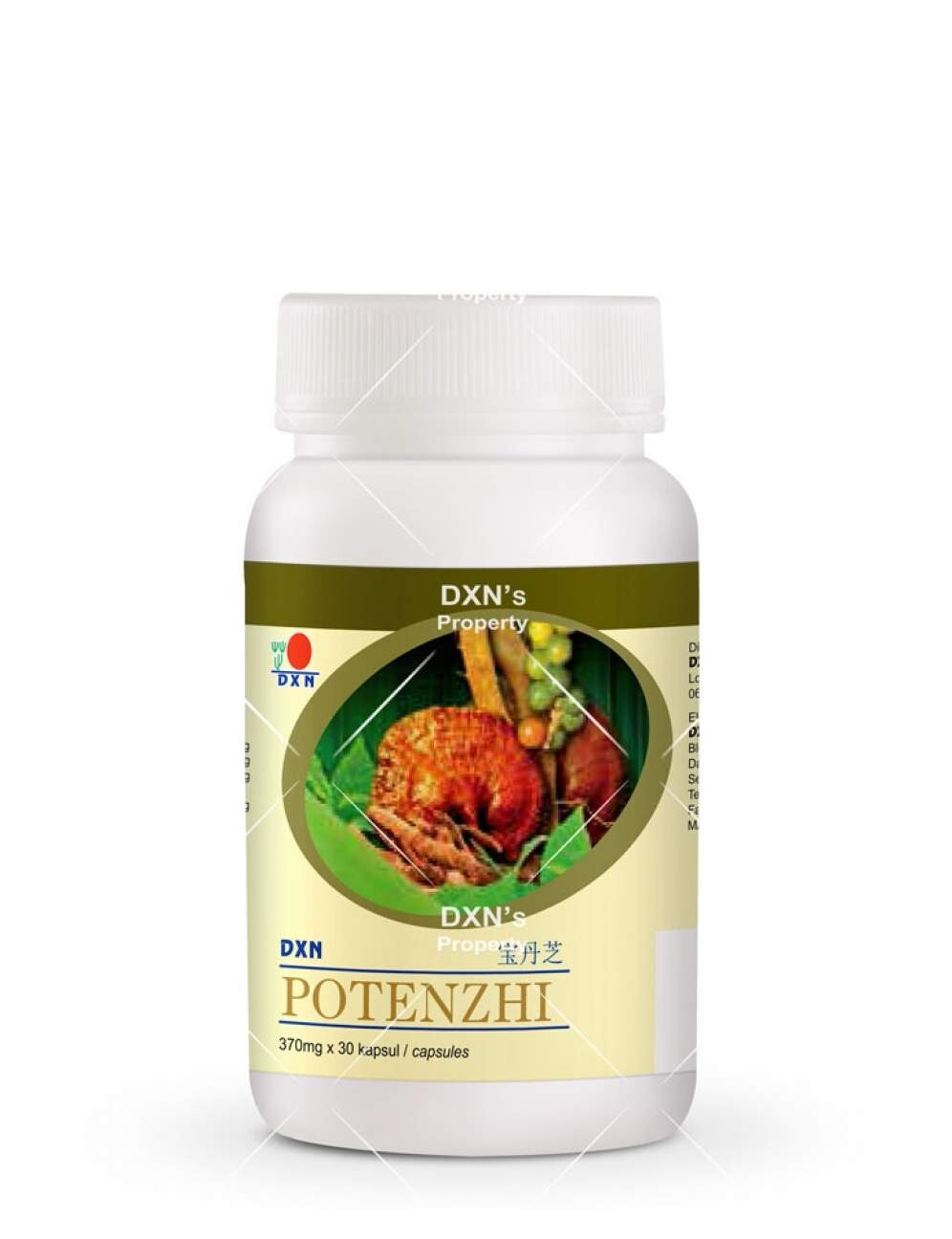 DXN Potenzhi Organic Ganoderma with 9 pure herb Supplement Herb Extracts Formula