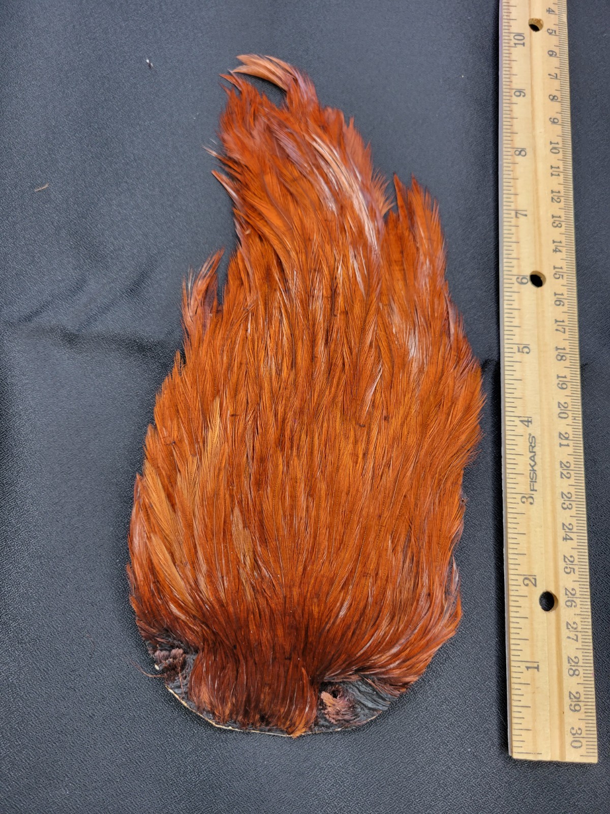 Lot 40,  Top Quality  COACHMAN BROWN India Rooster Streamer Neck Cape Feathers