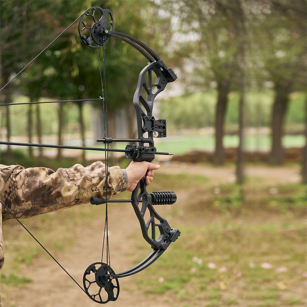 19-70lbs Compound Bow Arrows Kit Hunting Adjustable Archery Hunt Shooting Target